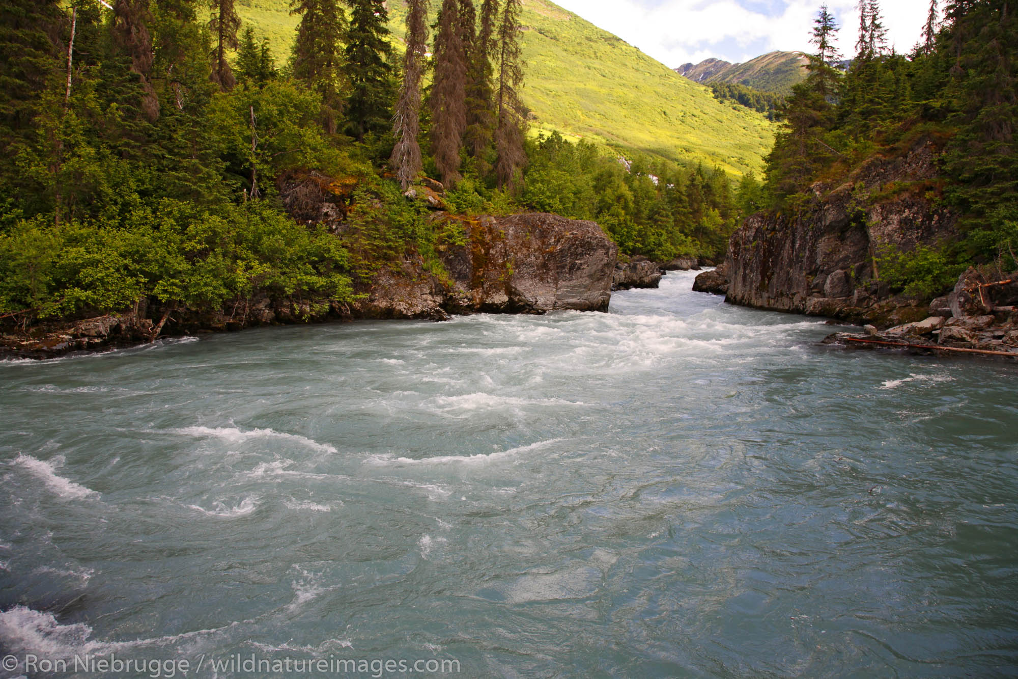 Six Mile Creek, Kenai Peninsula, Chugach National Forest, Alaska.