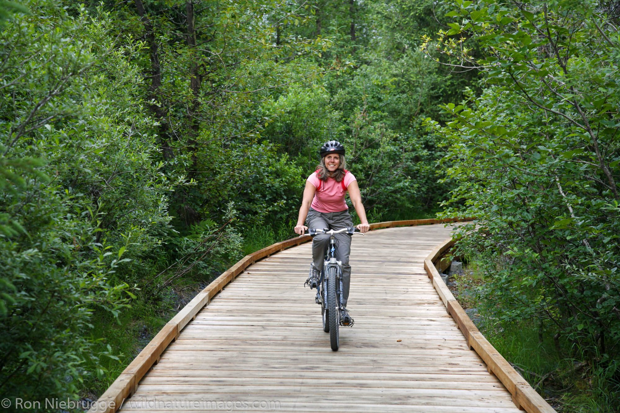 Bike riding on the Trail of Blue Ice, Portage Valley, Chugach National Forest, Alaska. (MR)