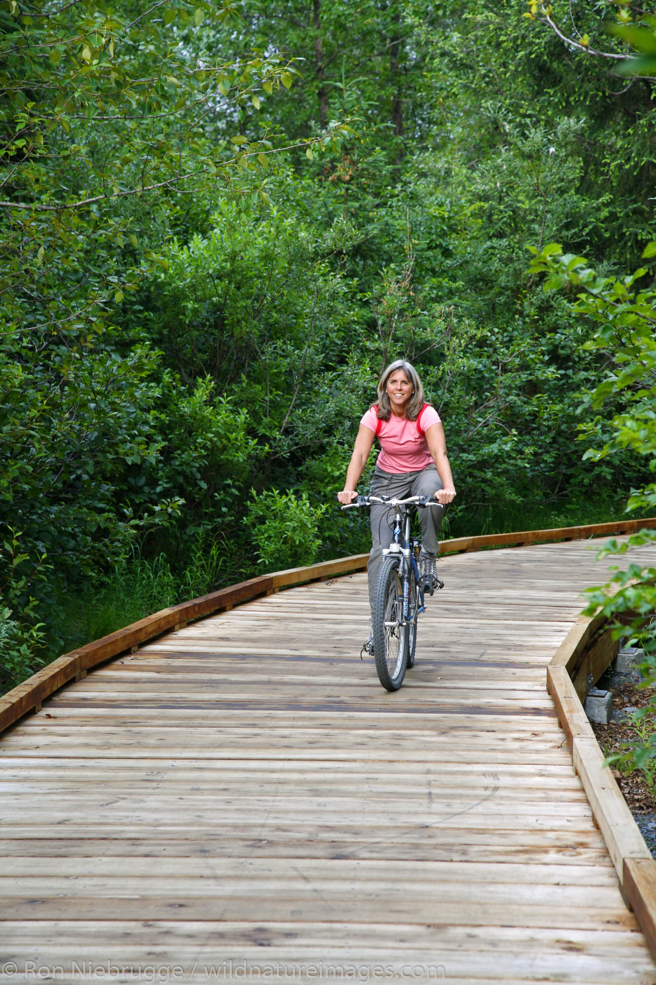Bike riding on the Trail of Blue Ice, Portage Valley, Chugach National Forest, Alaska. (MR)