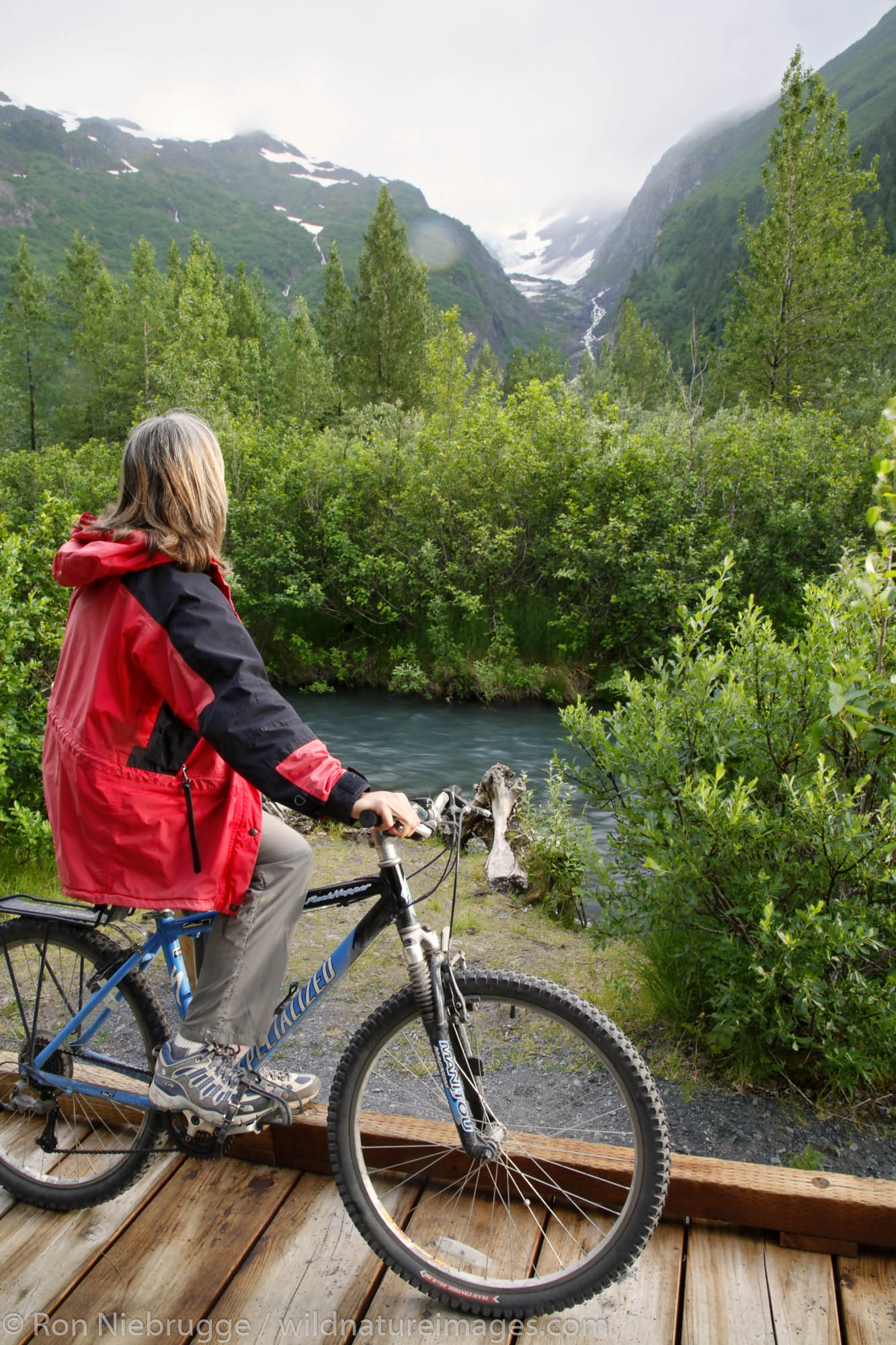 Bike riding on the Trail of Blue Ice, Portage Valley, Chugach National Forest, Alaska. (MR)