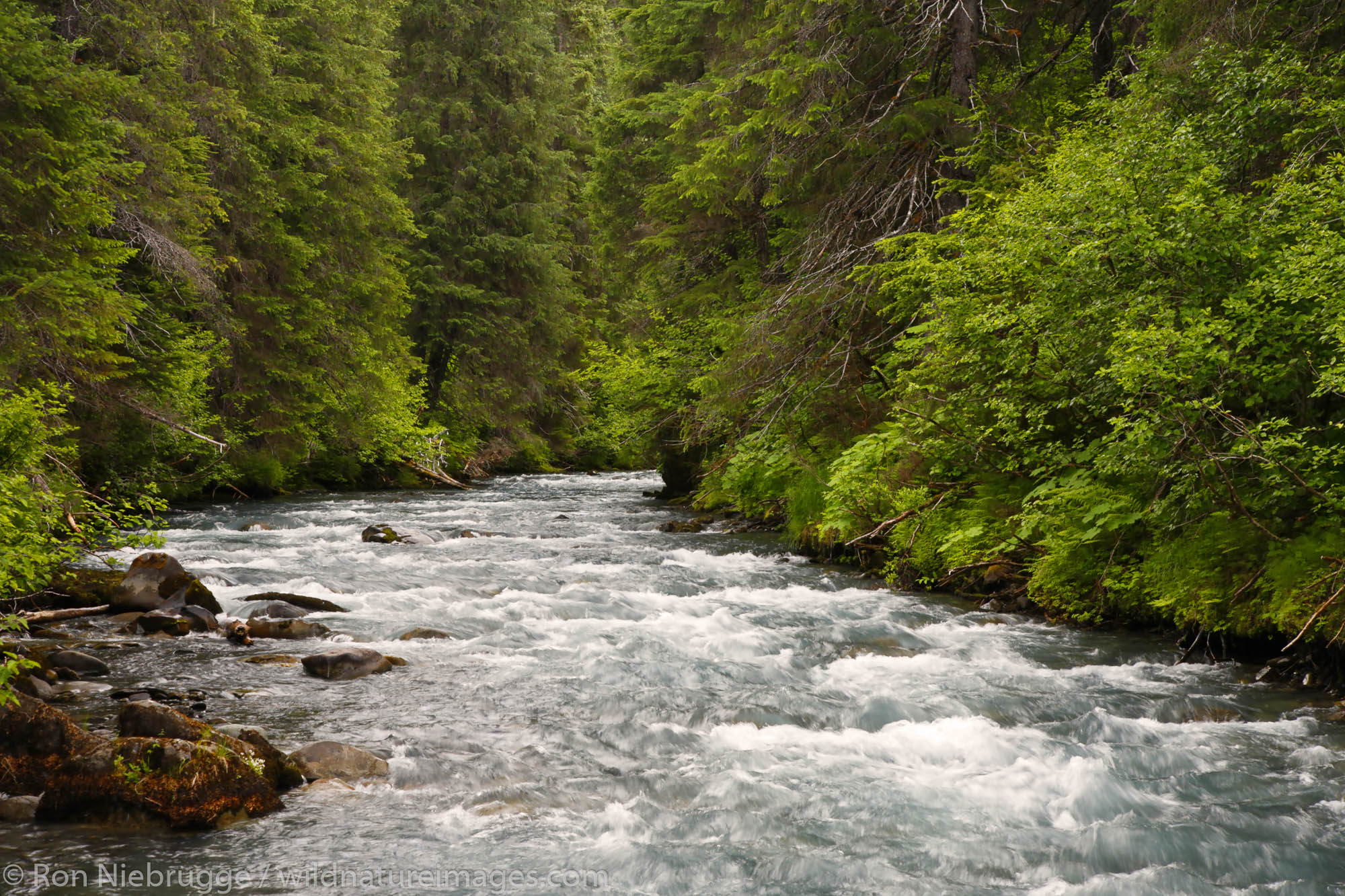 Winner Creek from the Winner Creek Gorge Trail, Girdwood, Chugach National Forest, Alaska.
