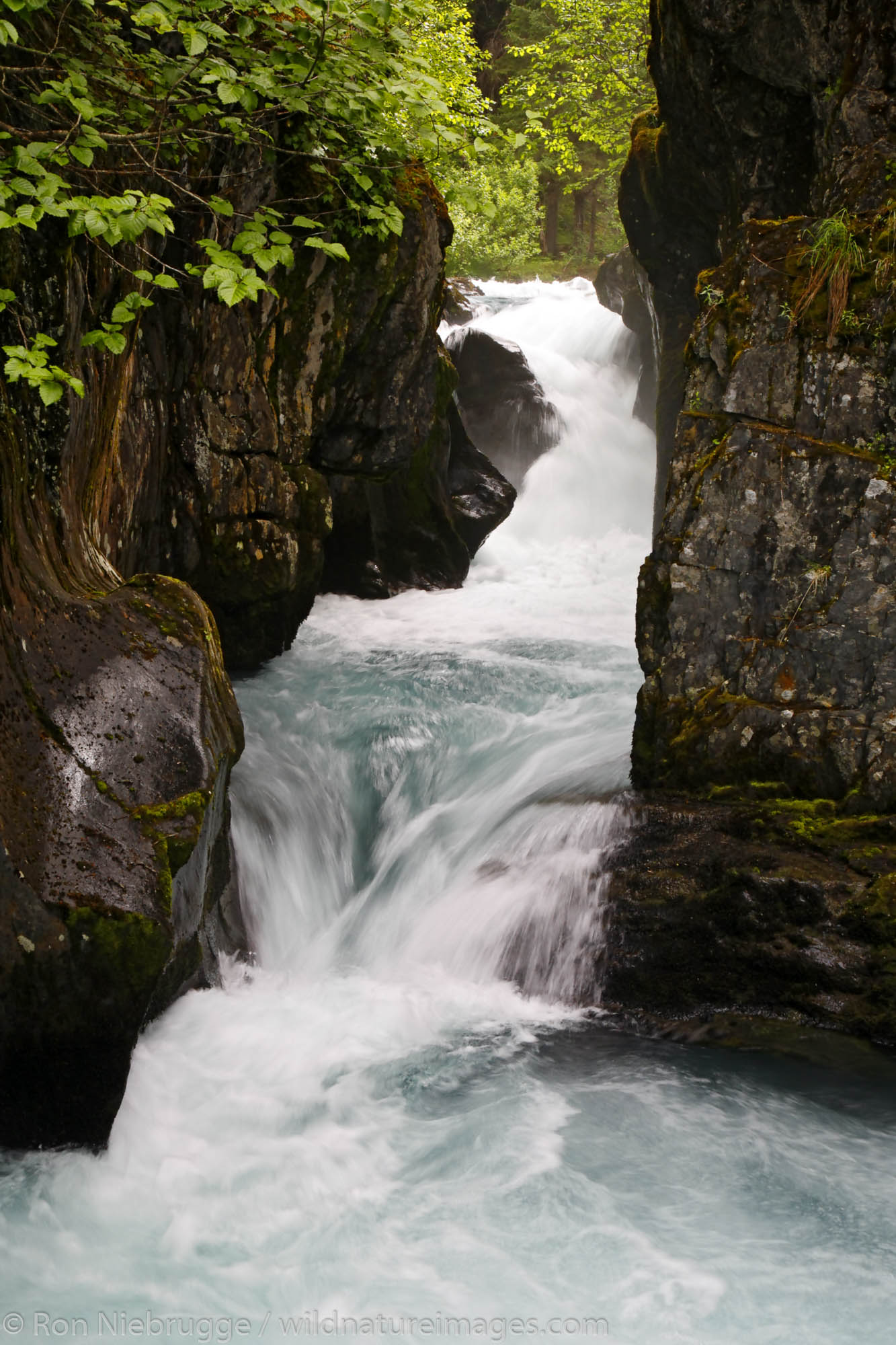 Winner Creek Gorge, from the Winner Creek Gorge Trail, Girdwood, Chugach National Forest, Alaska.
