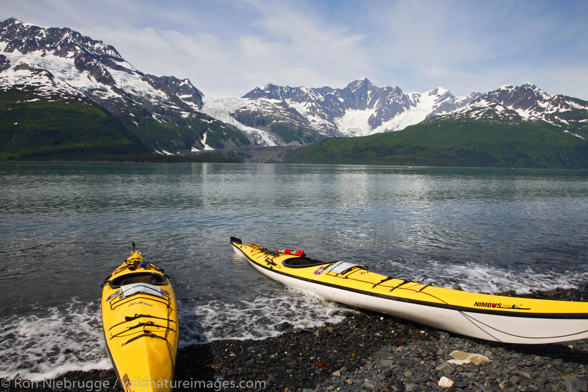 Forest Service kayak patrol in Harriman Fiord, Prince William Sound, Chugach National Forest, Alaska.