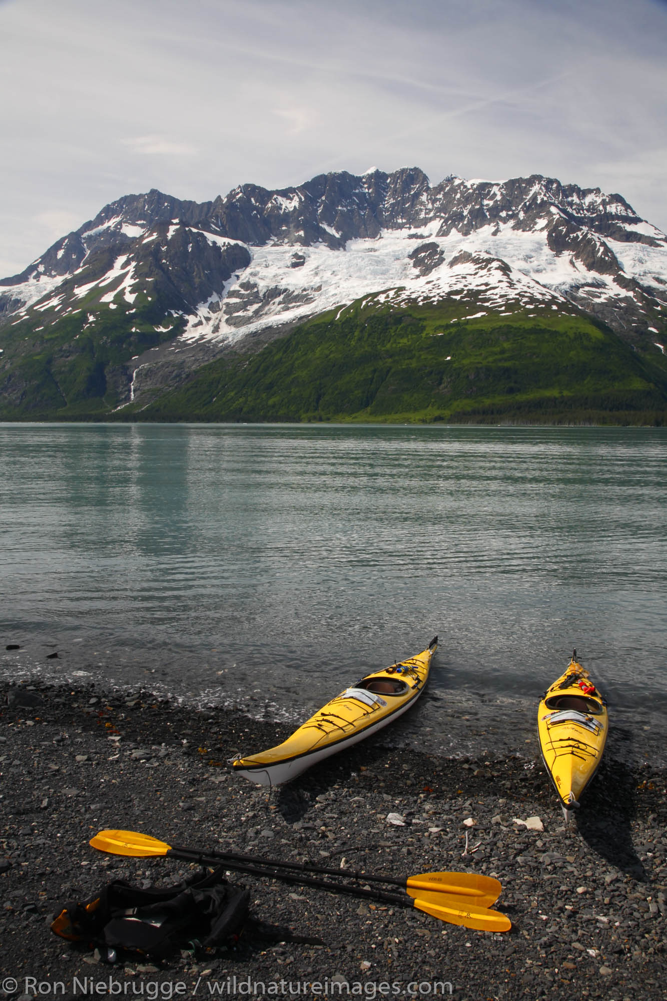 Forest Service kayak patrol in Harriman Fiord, Prince William Sound, Chugach National Forest, Alaska.