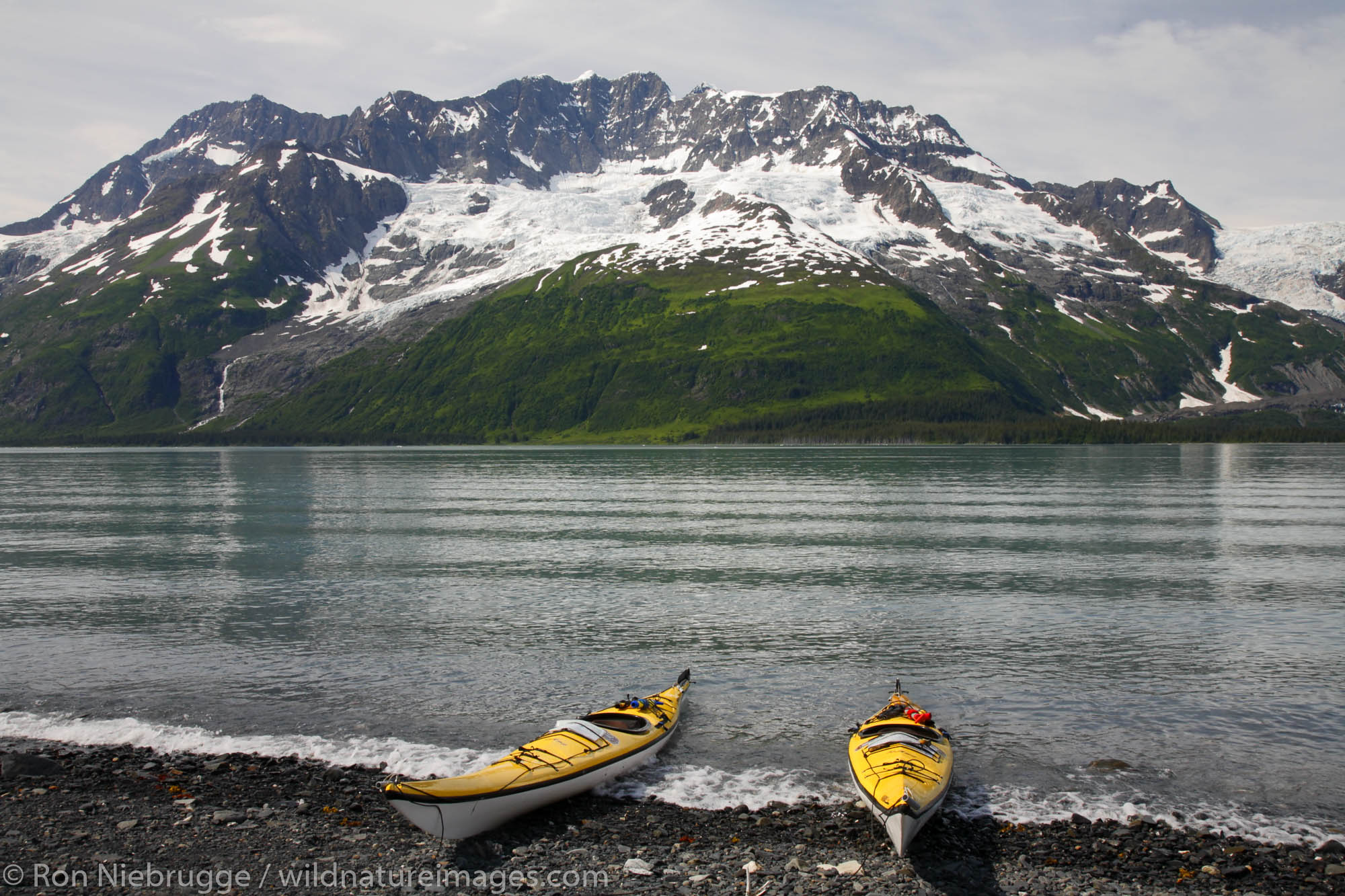 Forest Service kayak patrol in Harriman Fiord, Prince William Sound, Chugach National Forest, Alaska.