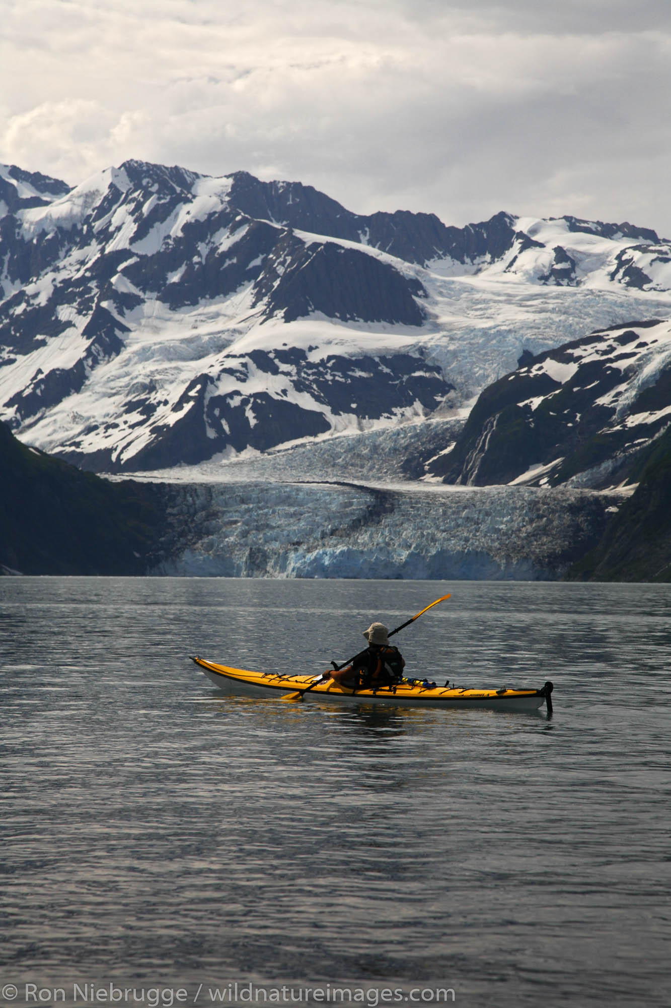 Forest Service kayak patrol in Harriman Fiord, Prince William Sound, Chugach National Forest, Alaska.