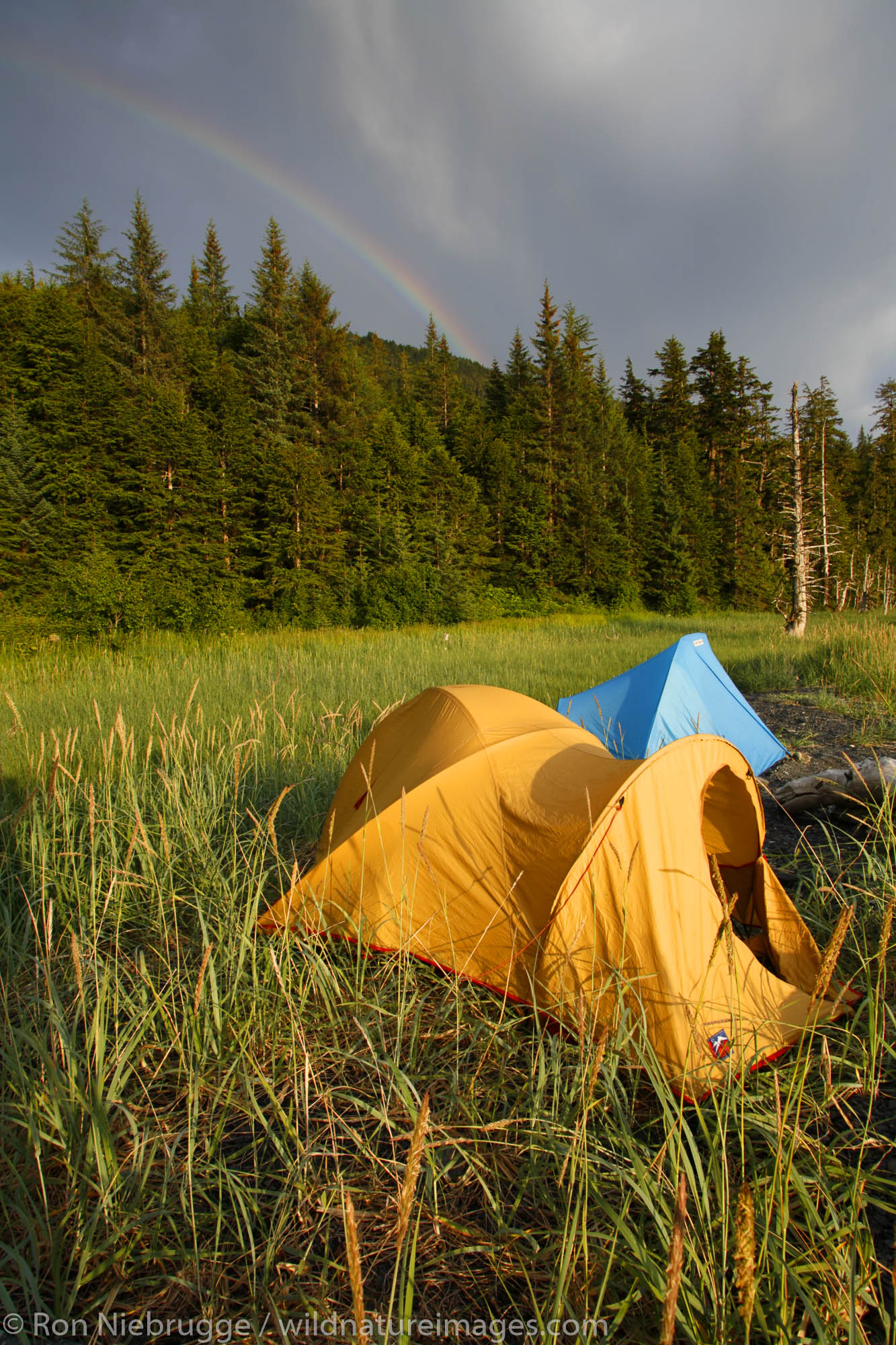 Camping on the beach, Barry Arm, Prince William Sound, Chugach National Forest, Alaska.