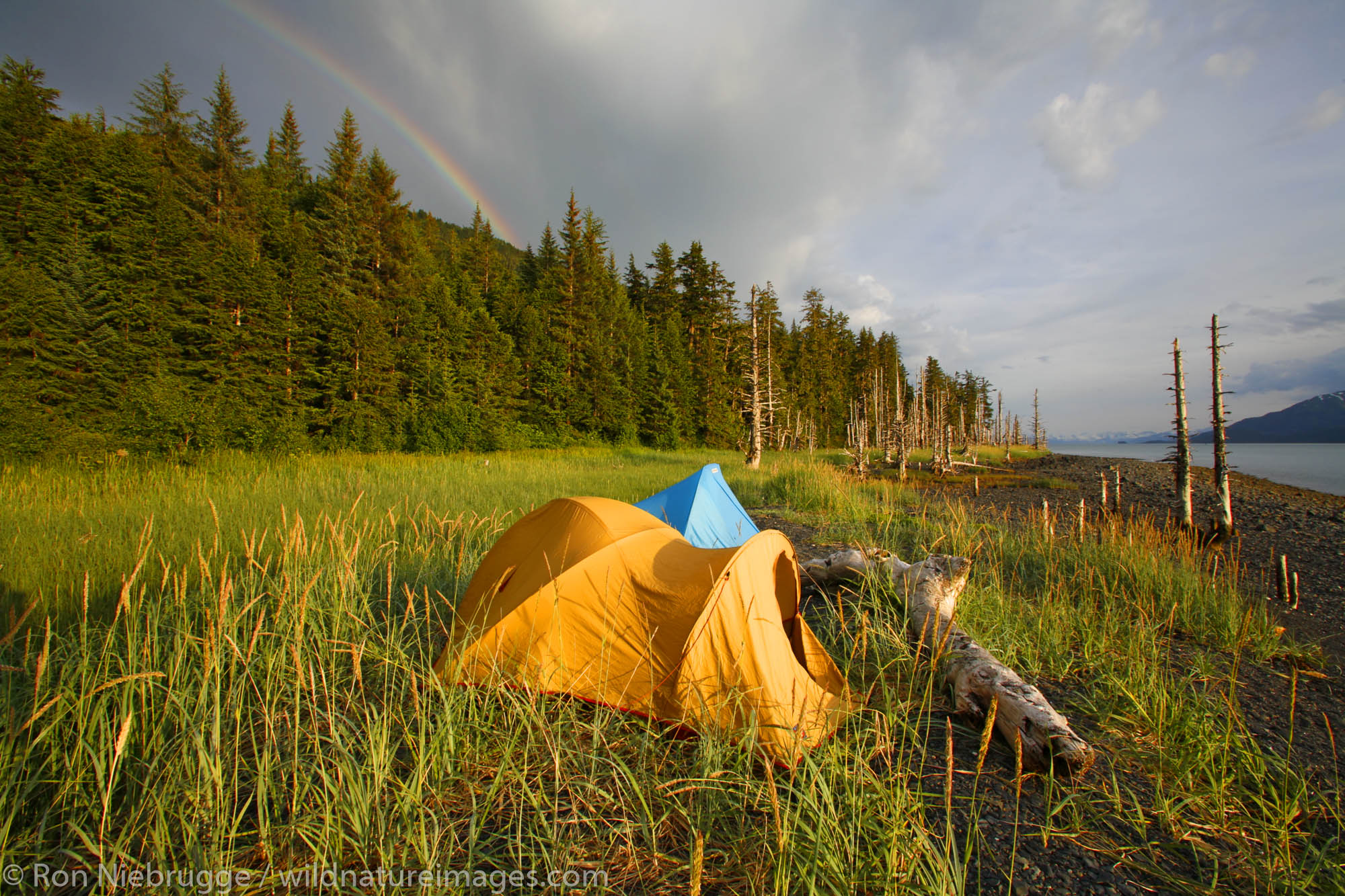 Camping on the beach, Barry Arm, Prince William Sound, Chugach National Forest, Alaska.