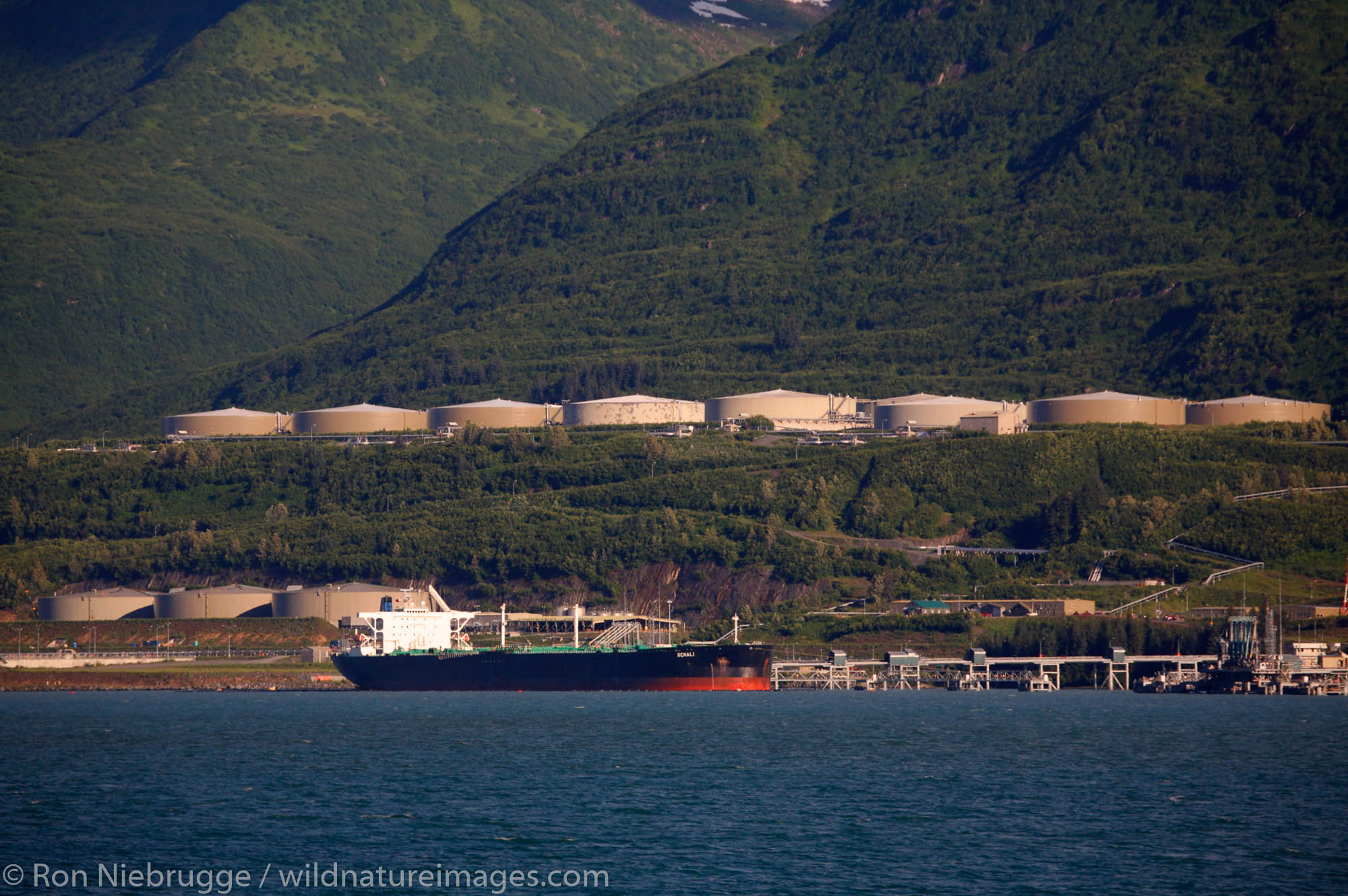 An Oil Tanker ship at the Port Valdez and the Trans-Alaska Pipeline Terminal, Prince William Sound, Valdez, Alaska.