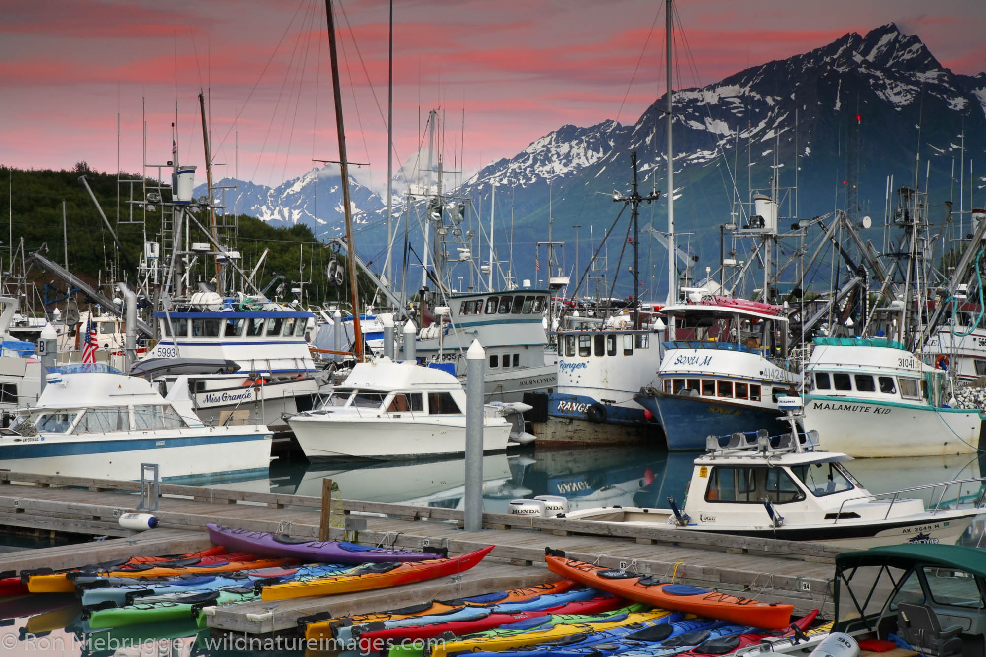 Valdez boat harbor at sunset, Valdez,  Prince William Sound,  Alaska.