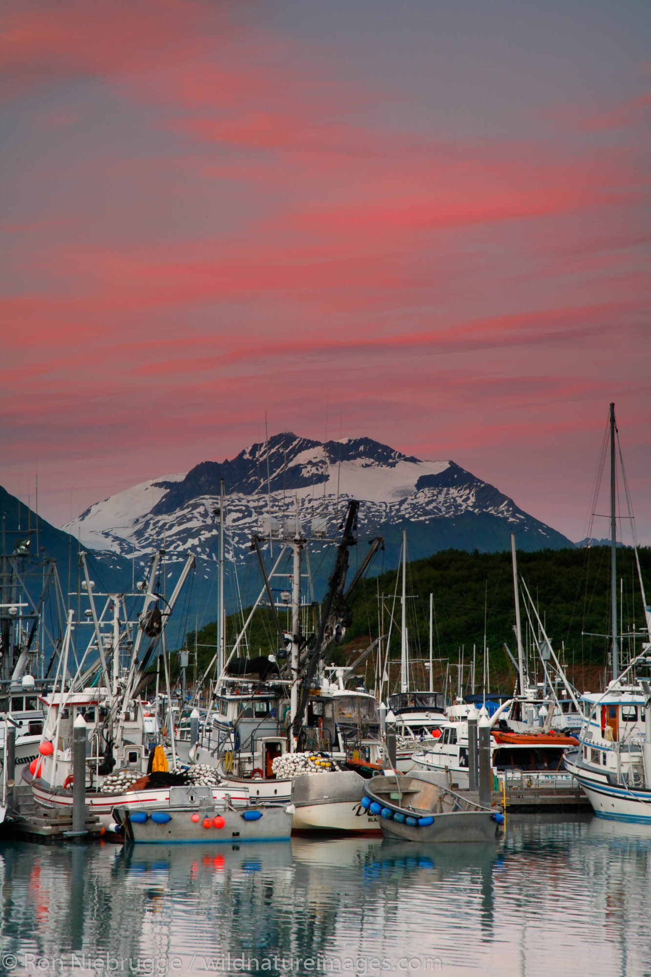 Valdez boat harbor at sunset, Valdez,  Prince William Sound,  Alaska.