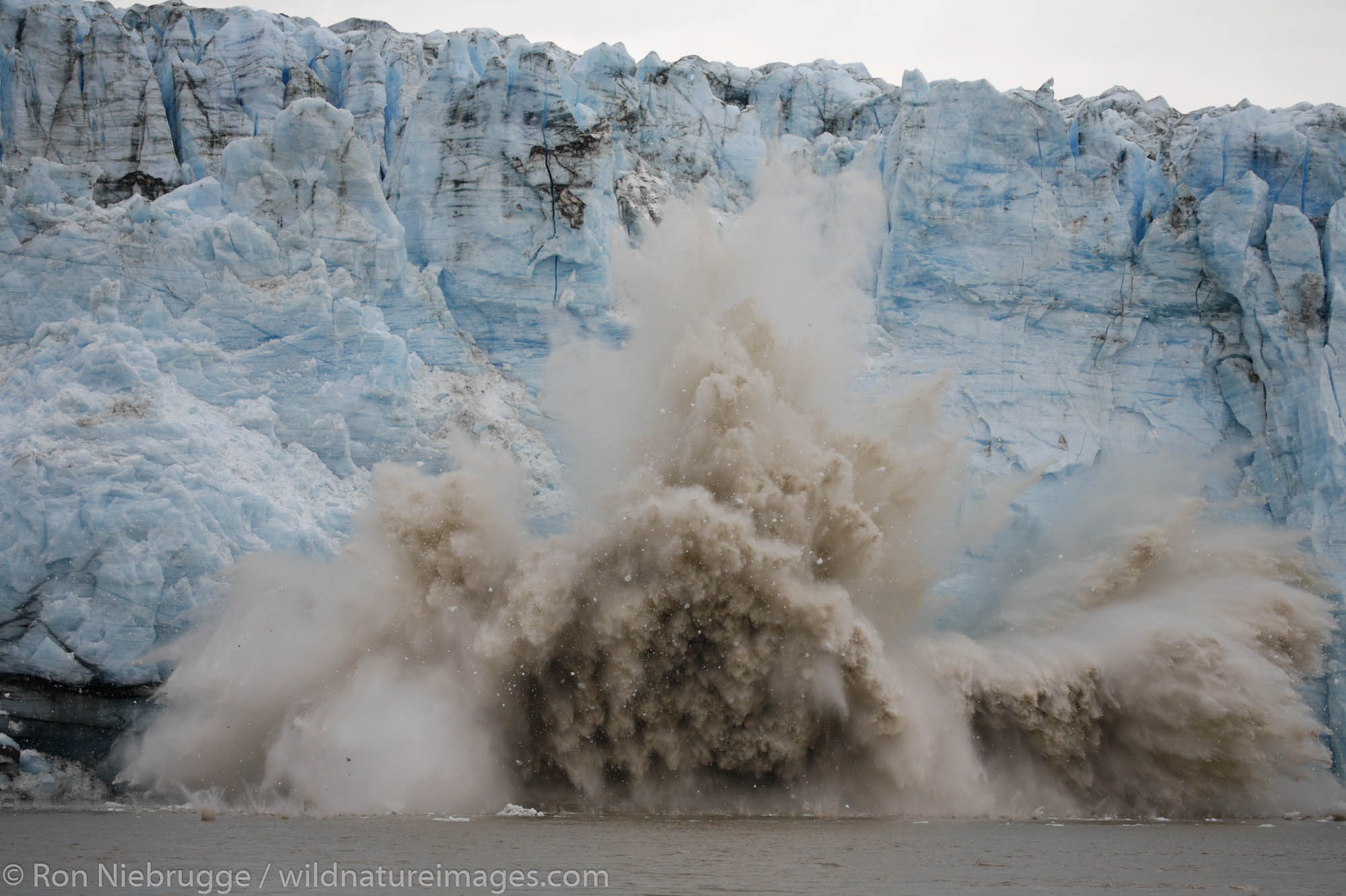 Childs Glacier calves into the Copper River, Cordova, Chugach National Forest, Alaska.