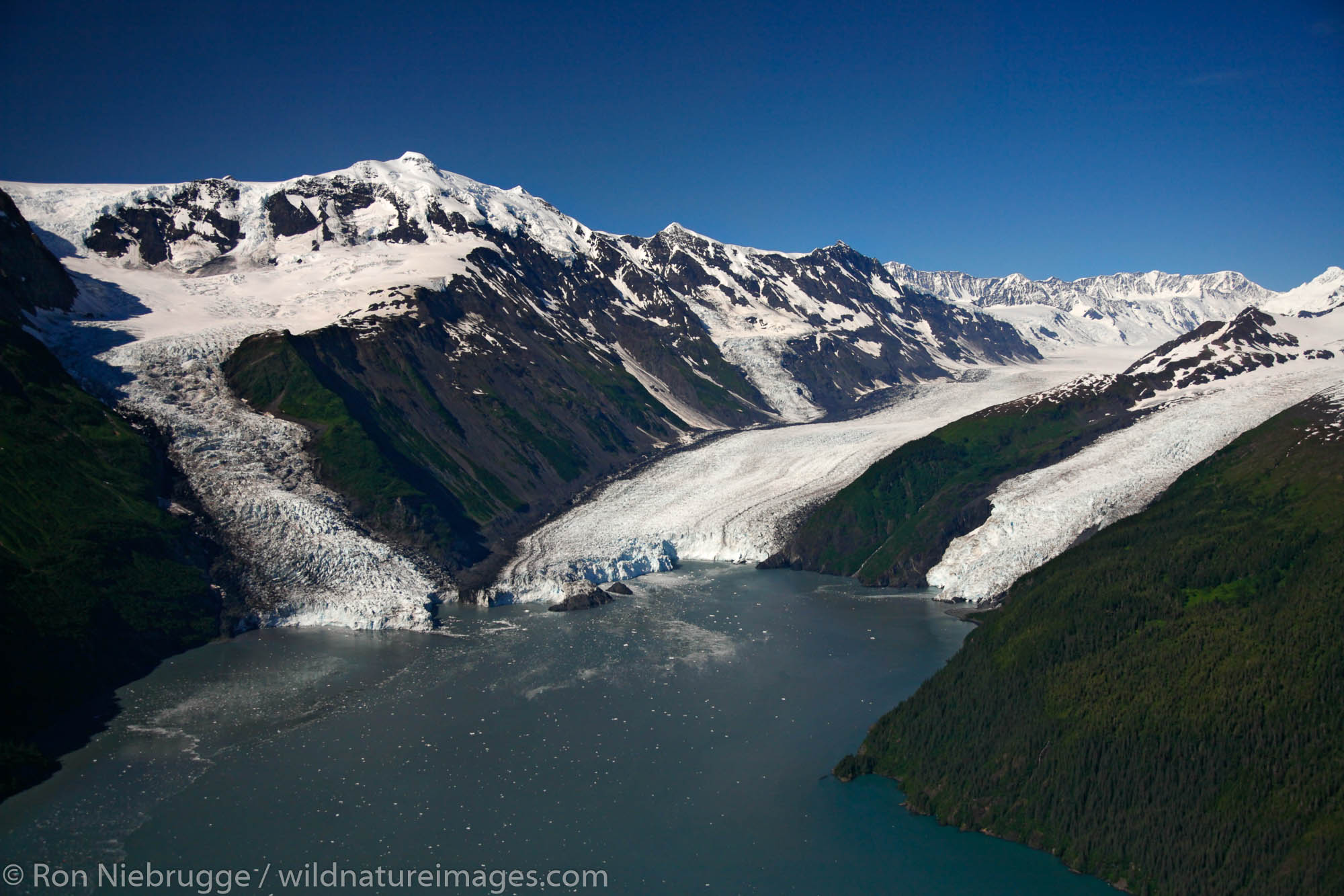 Aerial Cascade Glacier (L) Barry Glacier (C) and Coxe Glacier (R) Harriman Fiord, Prince William Sound, Chugach National Forest...