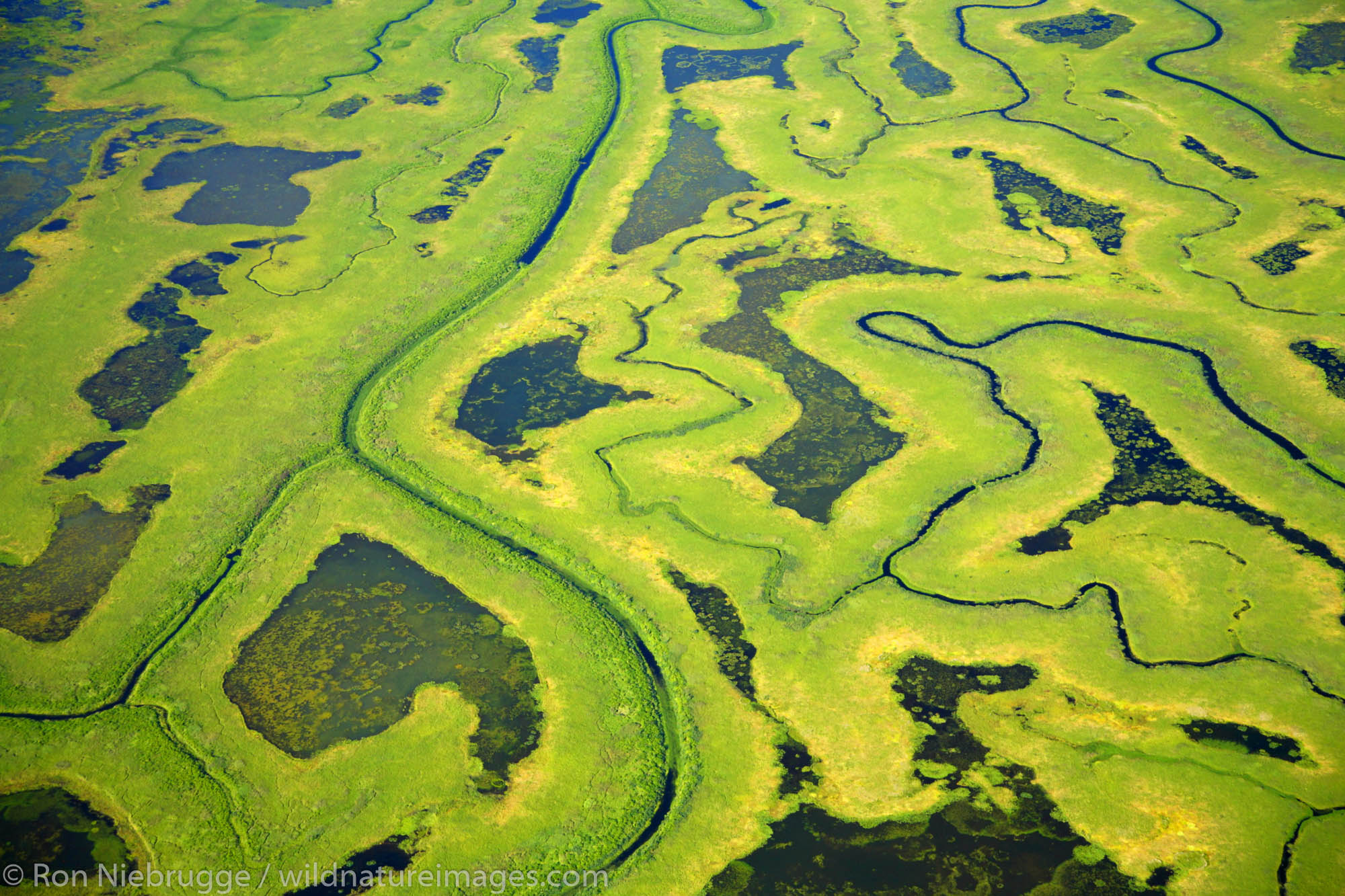 Aerial of the Copper River Delta, Chugach National Forest, Alaska.