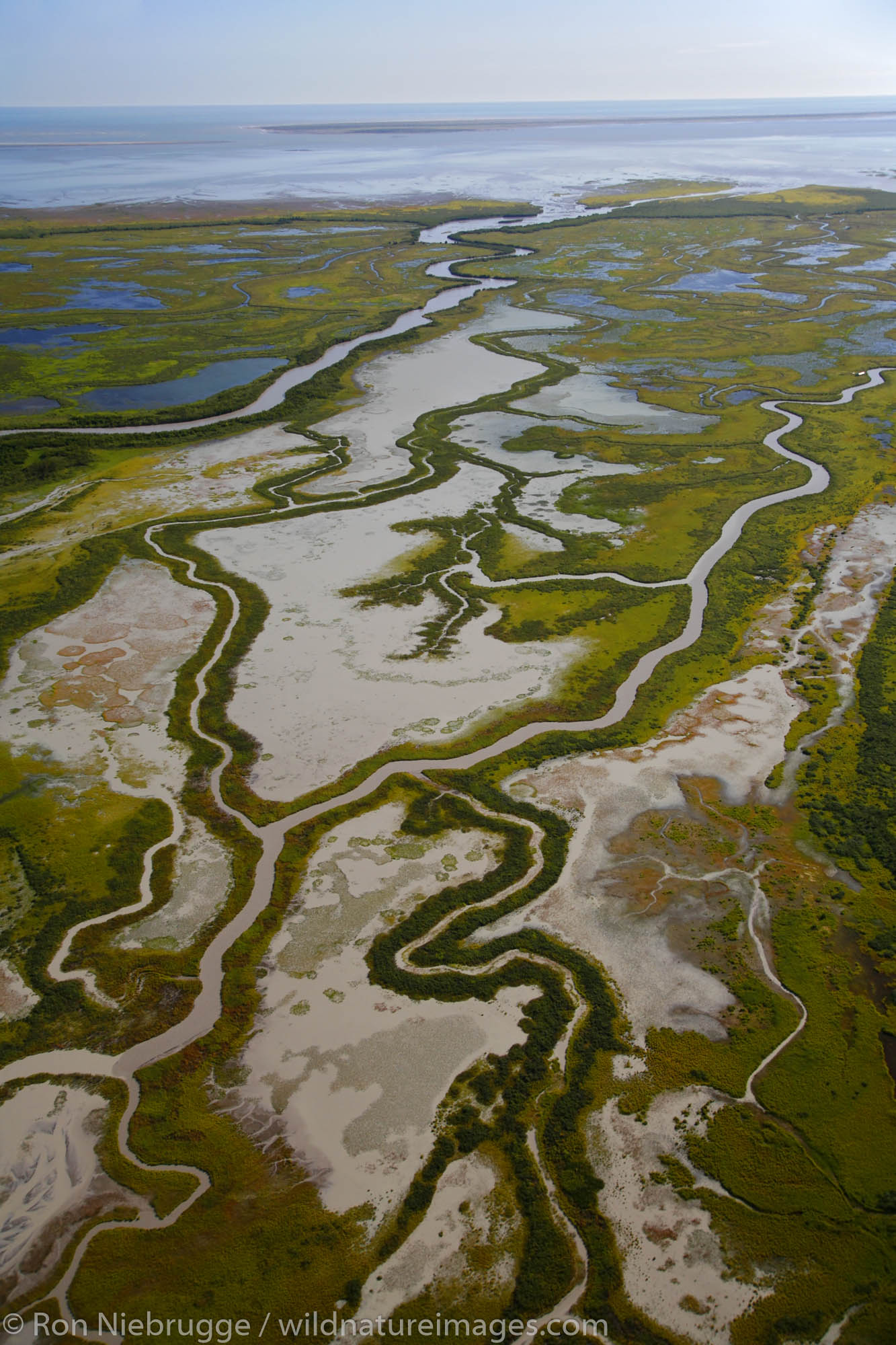 Aerial of the Copper River Delta, Chugach National Forest, Alaska.