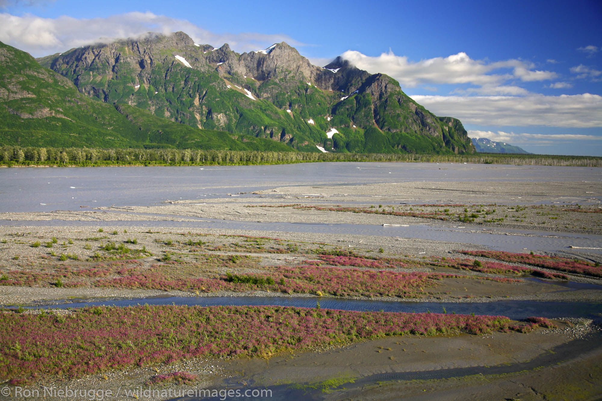 Aerial Copper River and the Copper River Delta, Chugach National Forest near Cordova, Alaska.