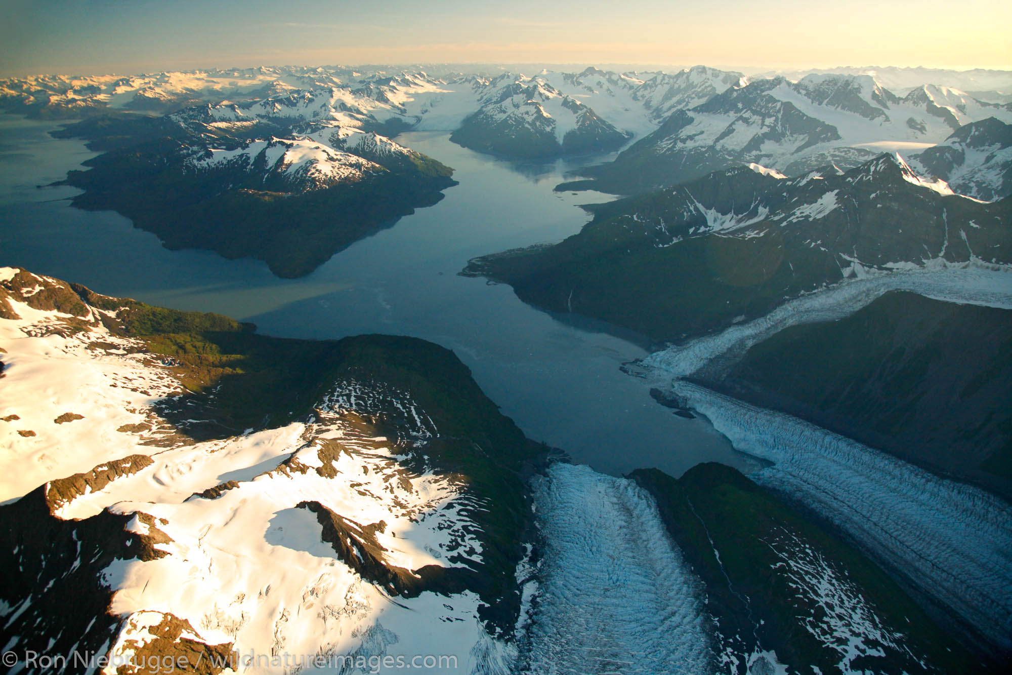 Aerial Harriman Fiord, Chugach Mountains, Prince William Sound, Chugach National Forest, Alaska.