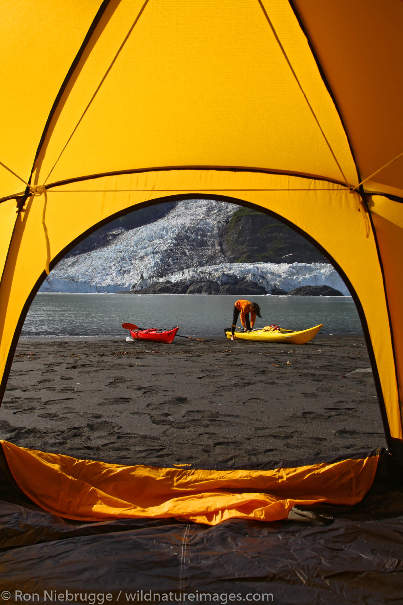 Camping on the beach in Harriman Fiord, Cascade Glacier (l) and Barry Glacier (r), Prince William Sound, Chugach National Forest...