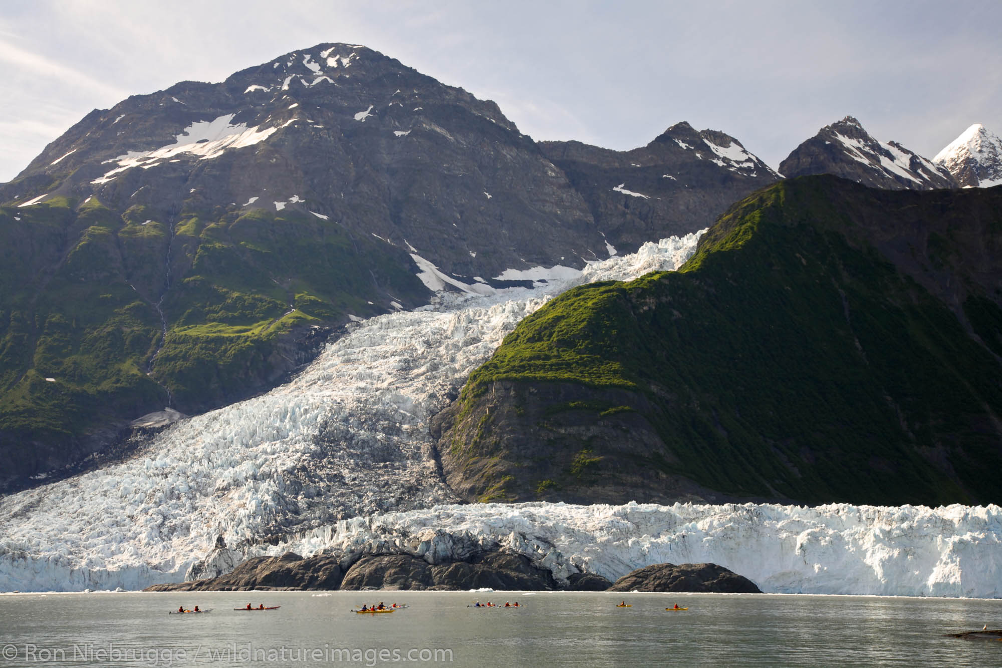 Kayaking by Cascade Glacier (l) and Barry Glacier (r), Harriman Fiord, Prince William Sound, Chugach National Forest, Alaska.