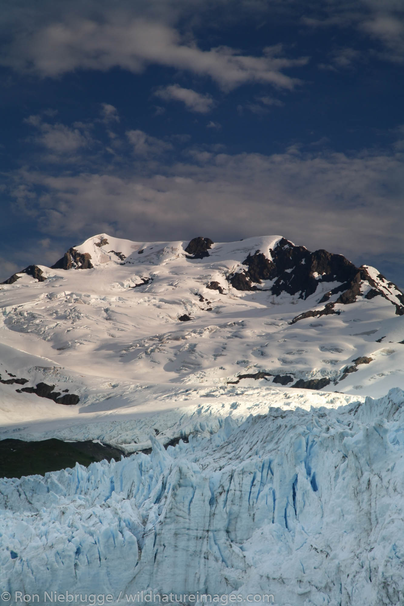 Harriman Glacier Harriman Fiord Prince William Sound Chugach National Forest Alaska.