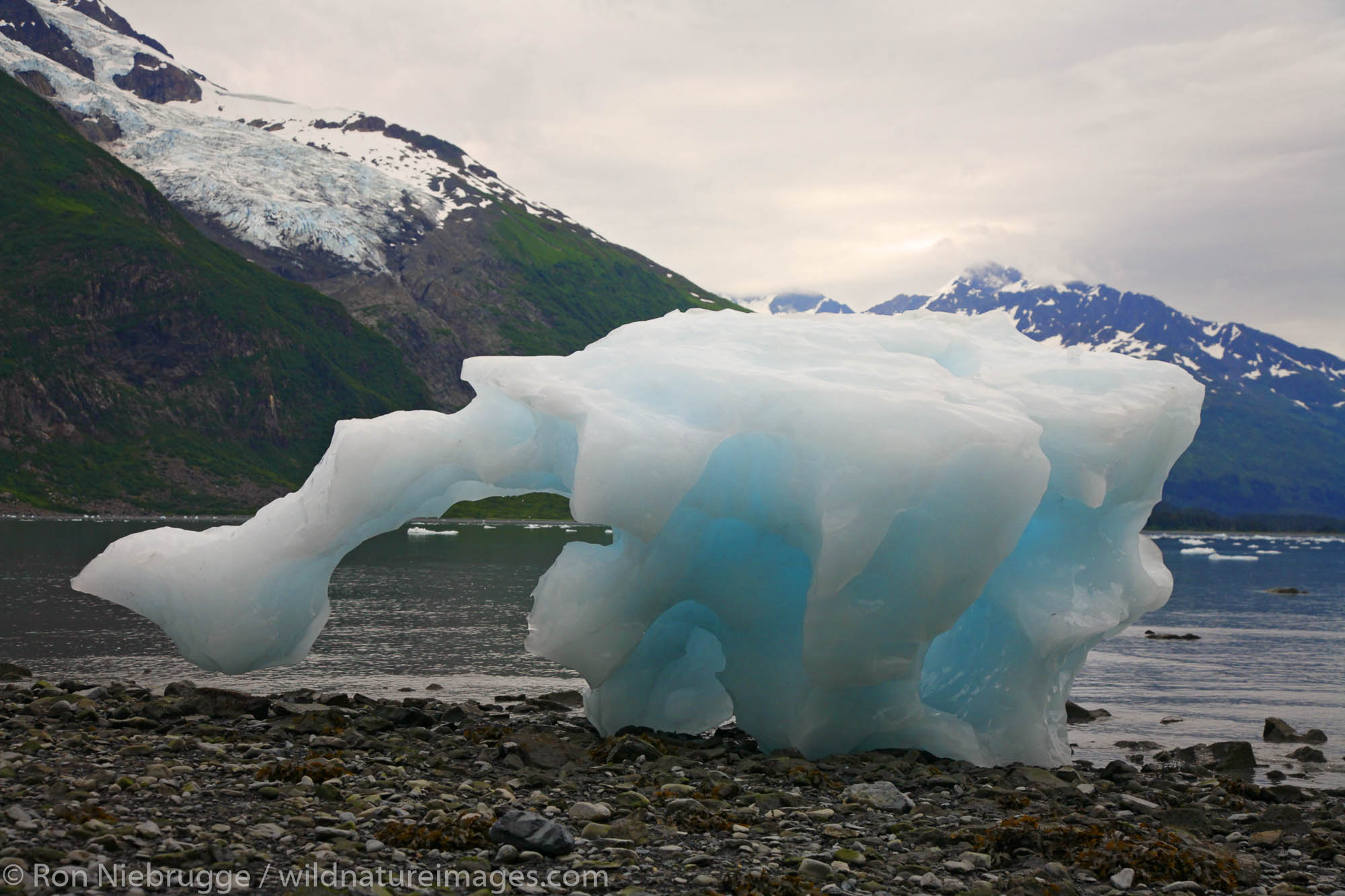 Iceberg along beach in Harriman Fiord, Prince William Sound, Chugach National Forest, Alaska.