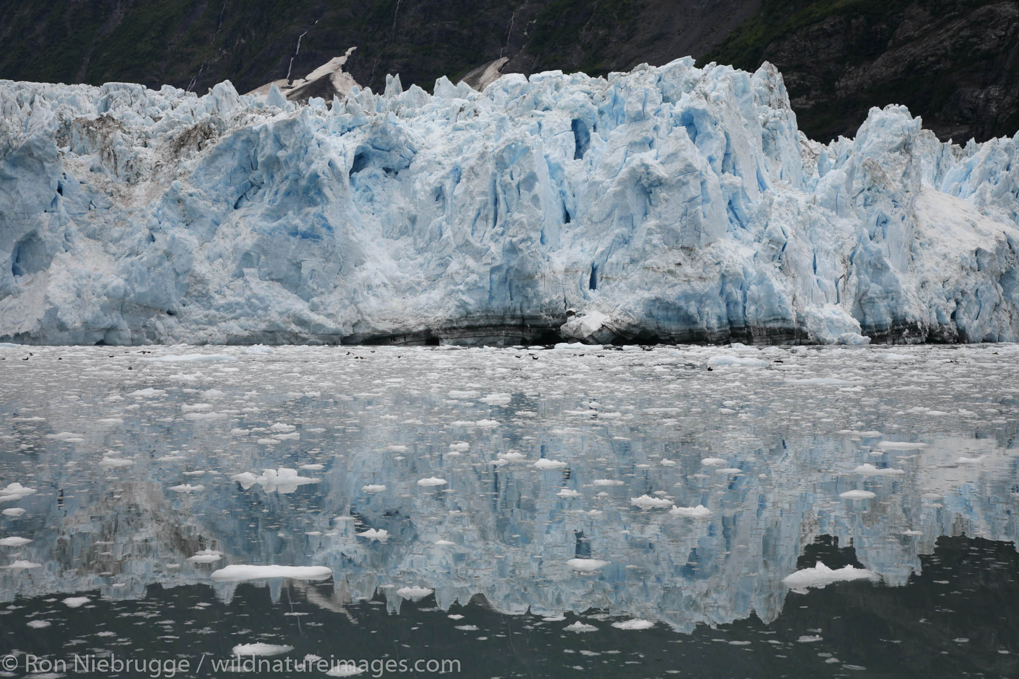 Surprise Glacier