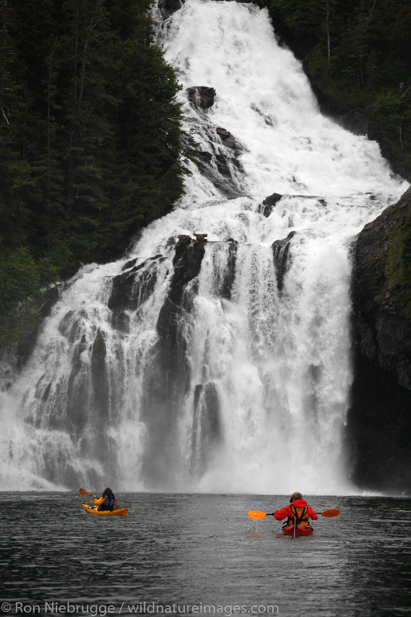 Kayaking near Cascade Falls in Cascade Bay, Prince William Sound, Chugach National Forest, Alaska. (MR)