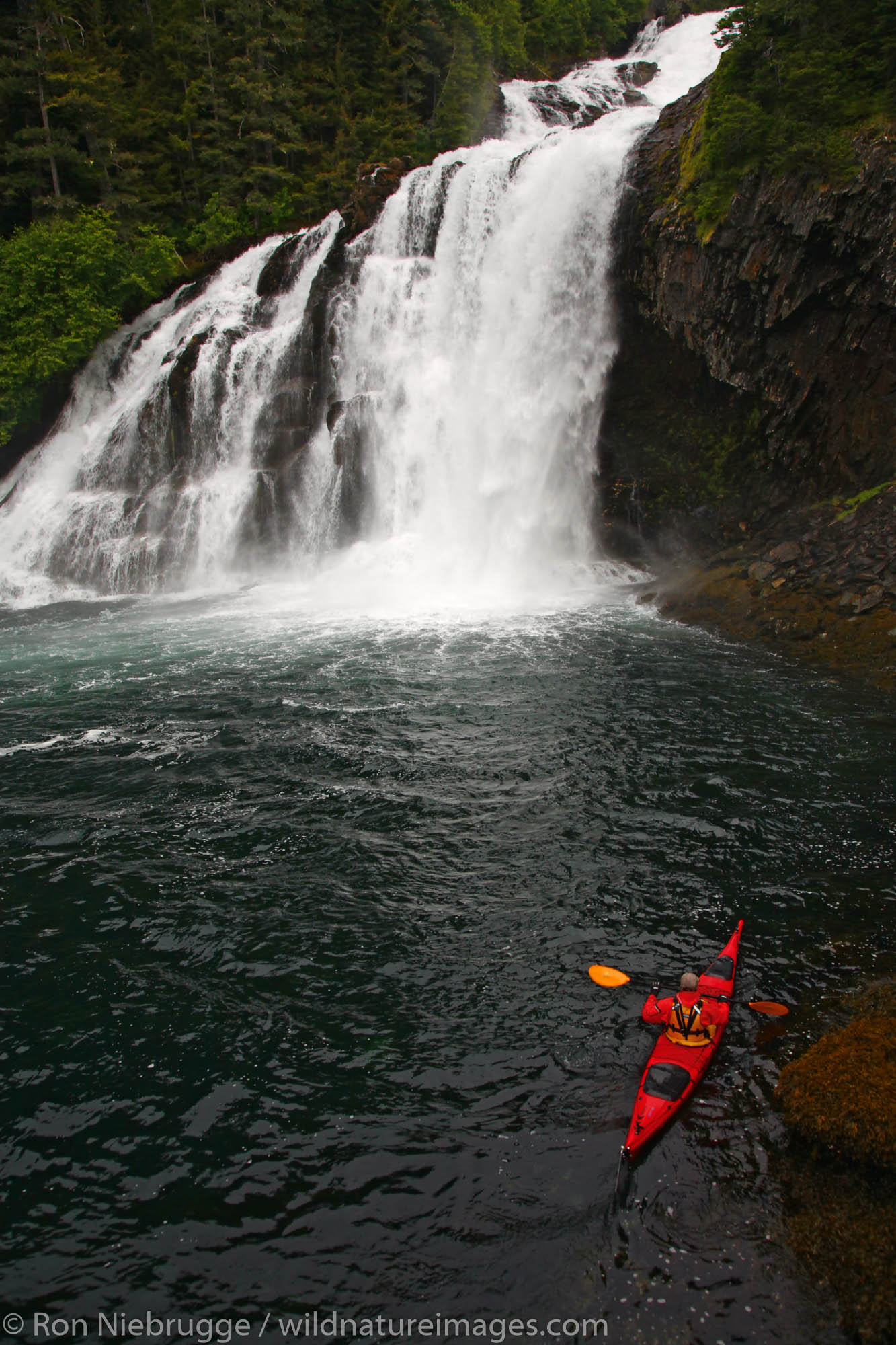 Kayaking near Cascade Falls in Cascade Bay, Prince William Sound, Chugach National Forest, Alaska. (MR)