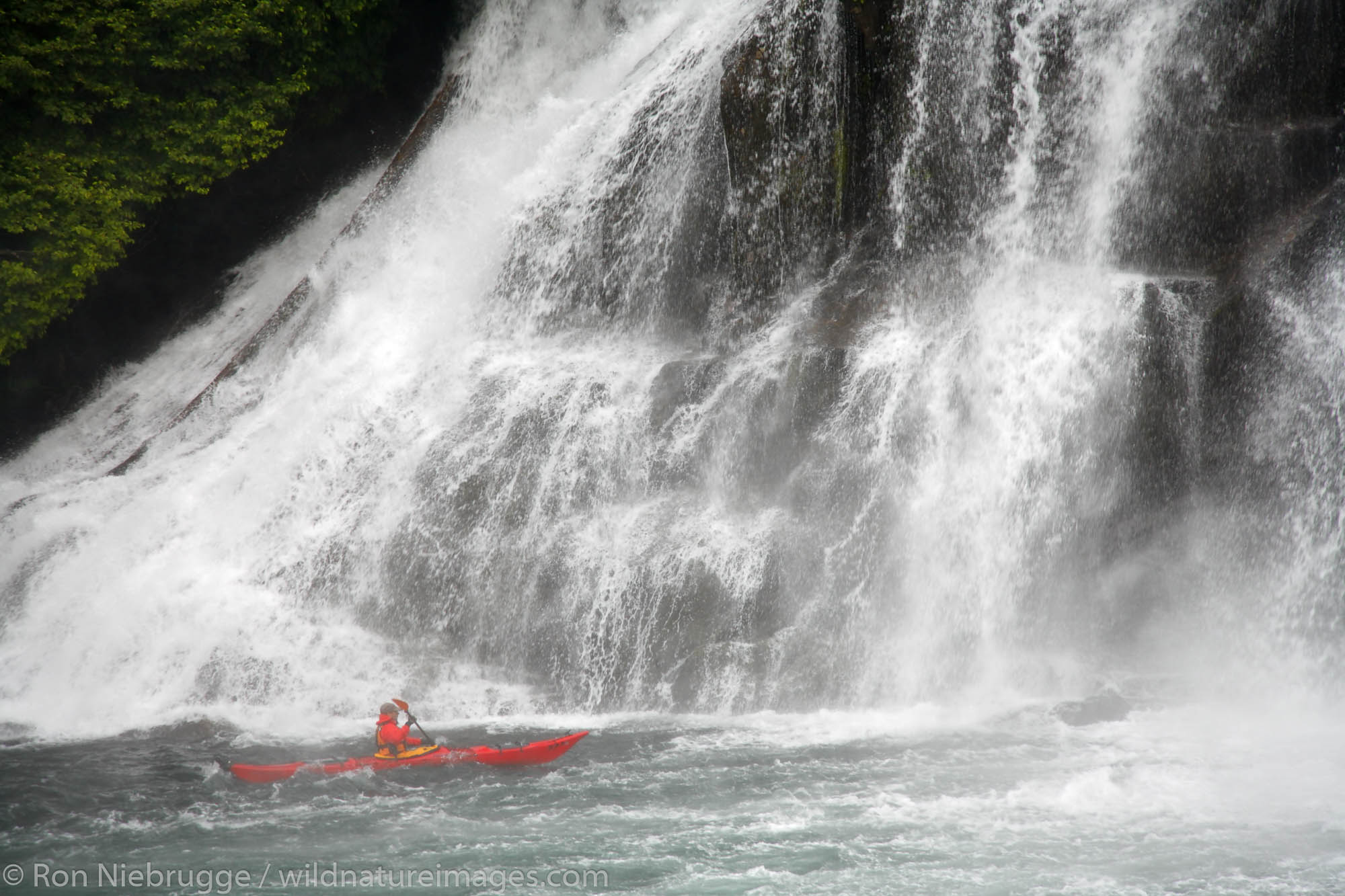 Kayaking near Cascade Falls in Cascade Bay, Prince William Sound, Chugach National Forest, Alaska. (MR)