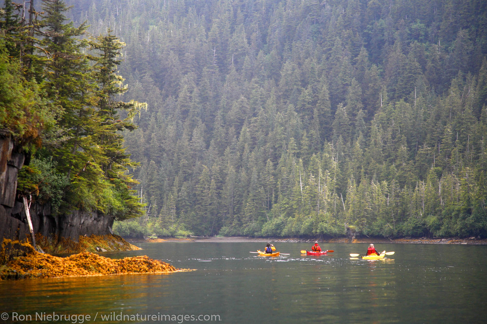 Kayaking in Cascade Bay, Prince William Sound, Chugach National Forest, Alaska.