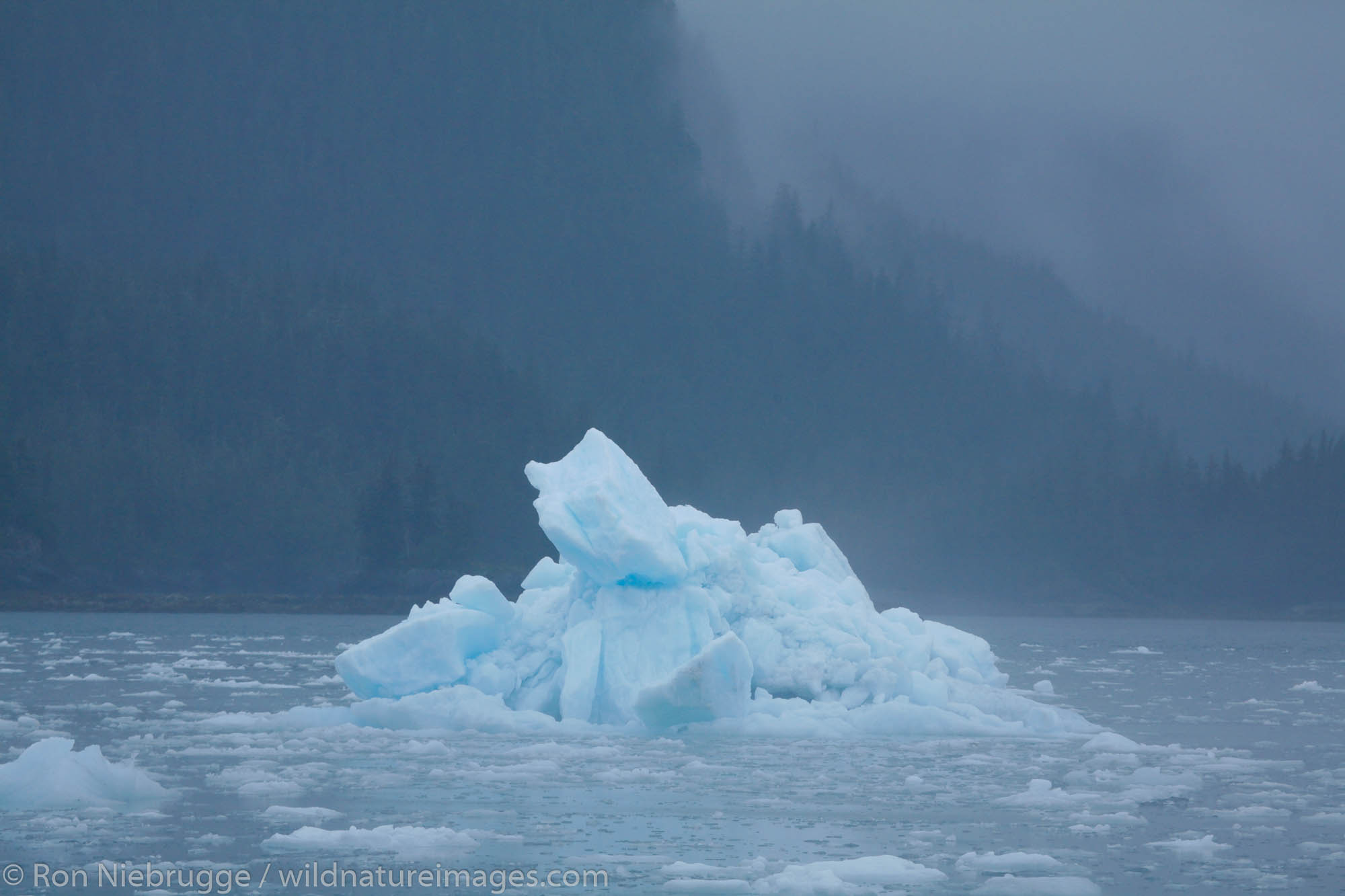 Iceberg floating in Columbia Bay, Prince William Sound, Chugach National Forest, Alaska.