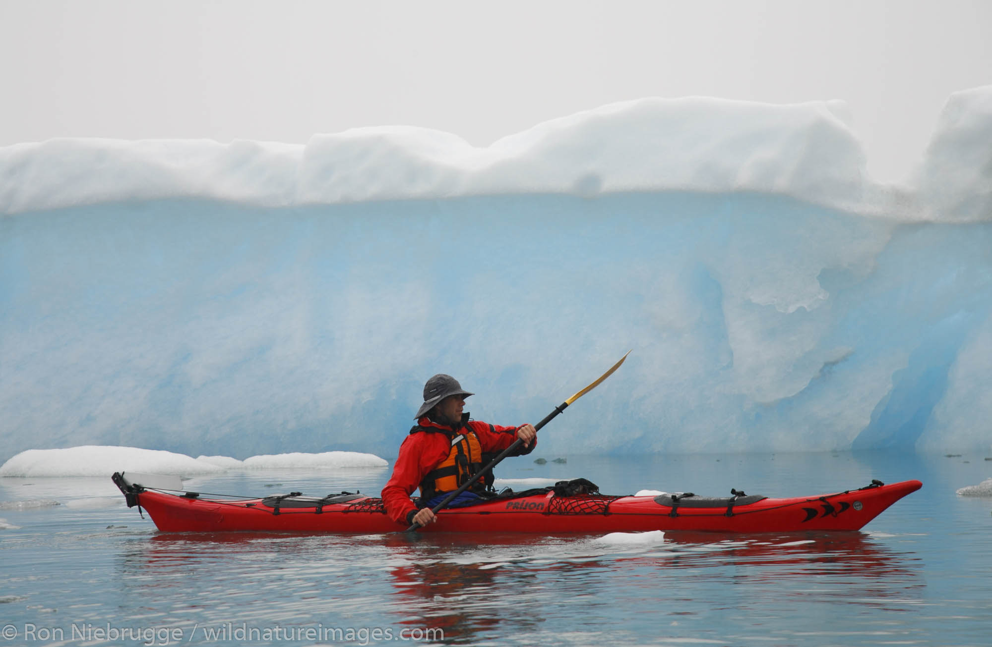 Kayaking among the icebergs in Columbia Bay, Prince William Sound, Chugach National Forest, Alaska. (MR)