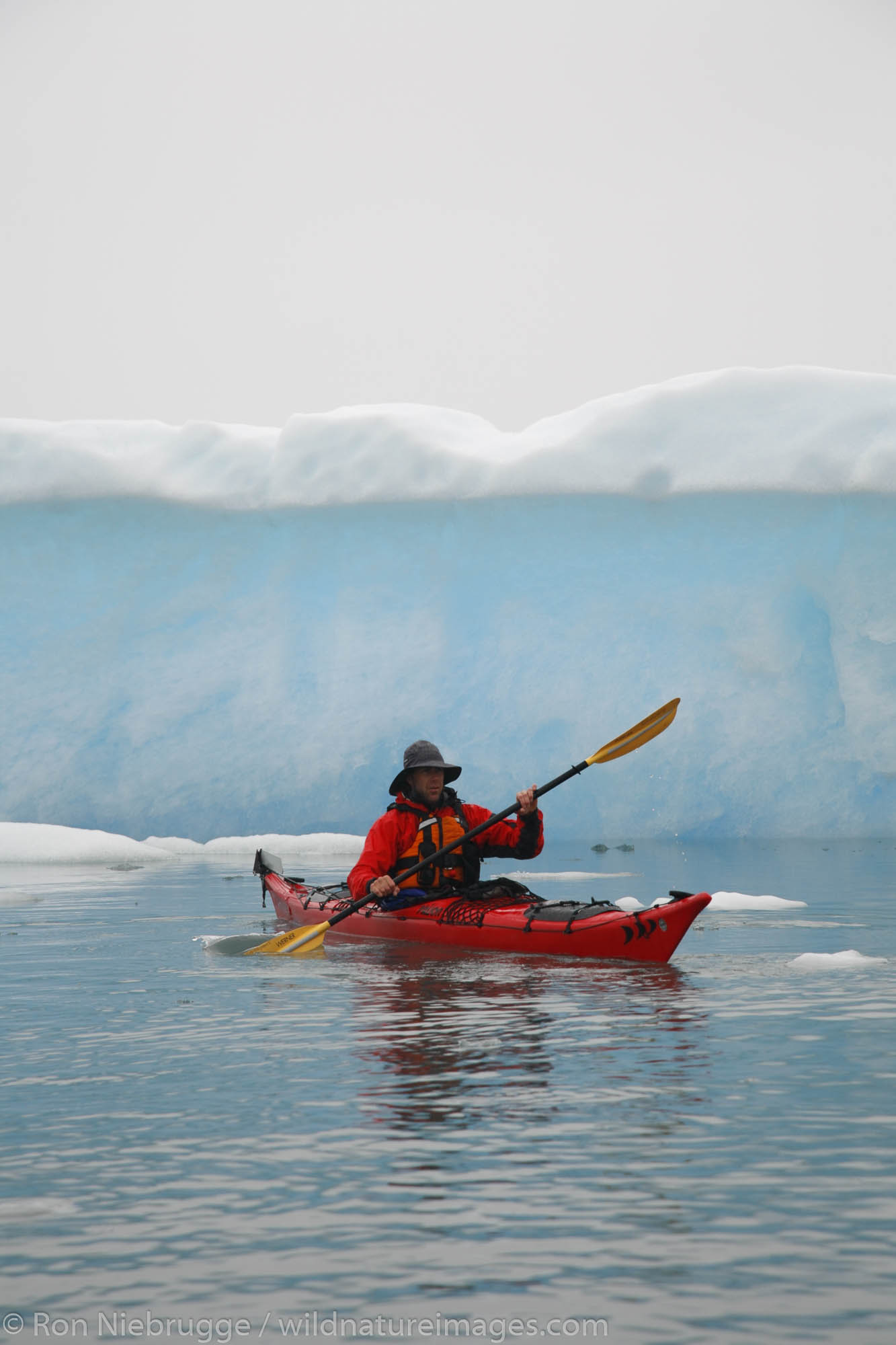 Kayaking among the icebergs in Columbia Bay, Prince William Sound, Chugach National Forest, Alaska. (MR)