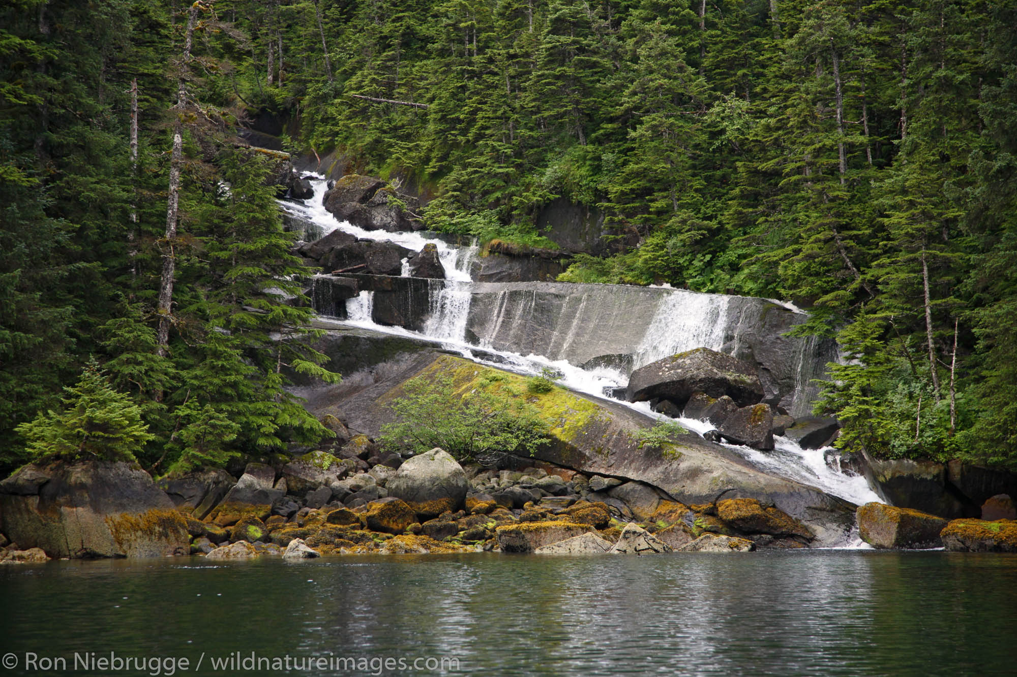 Hidden Bay, Prince William Sound, Chugach National Forest, Alaska.