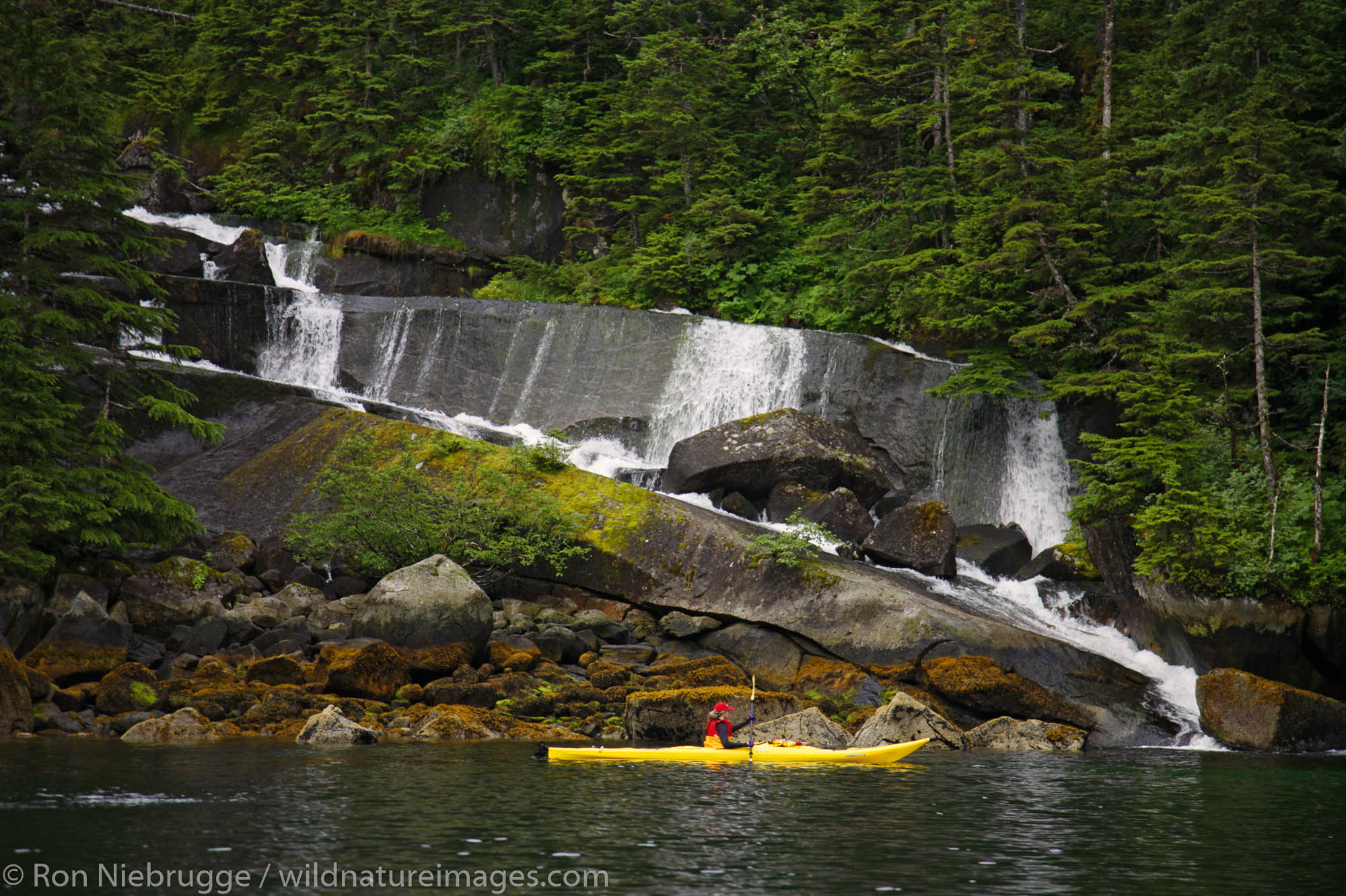 Kayaking in Hidden Bay, Prince William Sound, Chugach National Forest, Alaska. (MR)