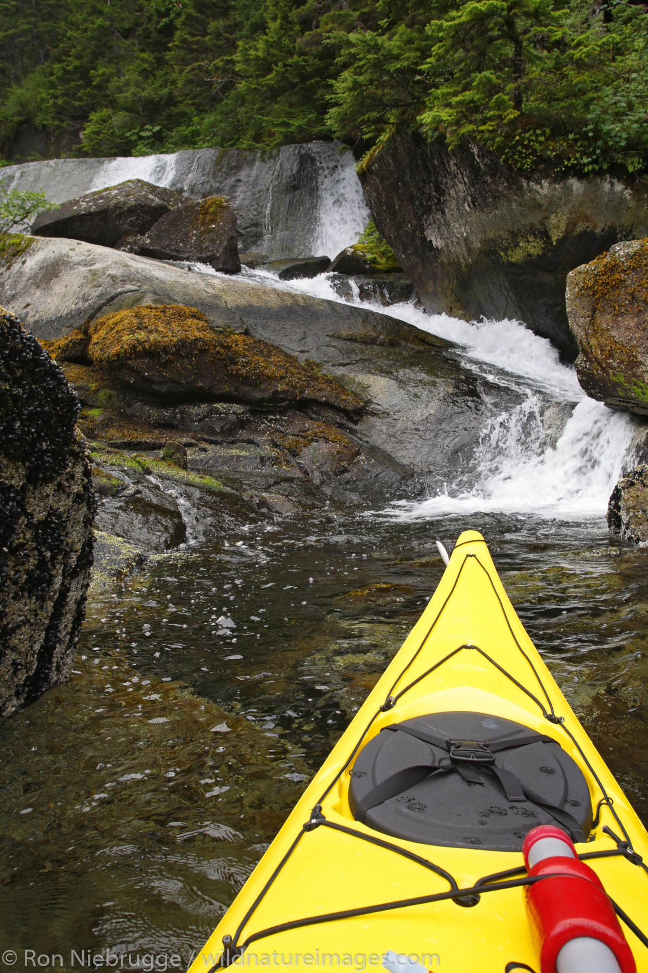 Kayaking in Hidden Bay, Prince William Sound, Chugach National Forest, Alaska. (MR)