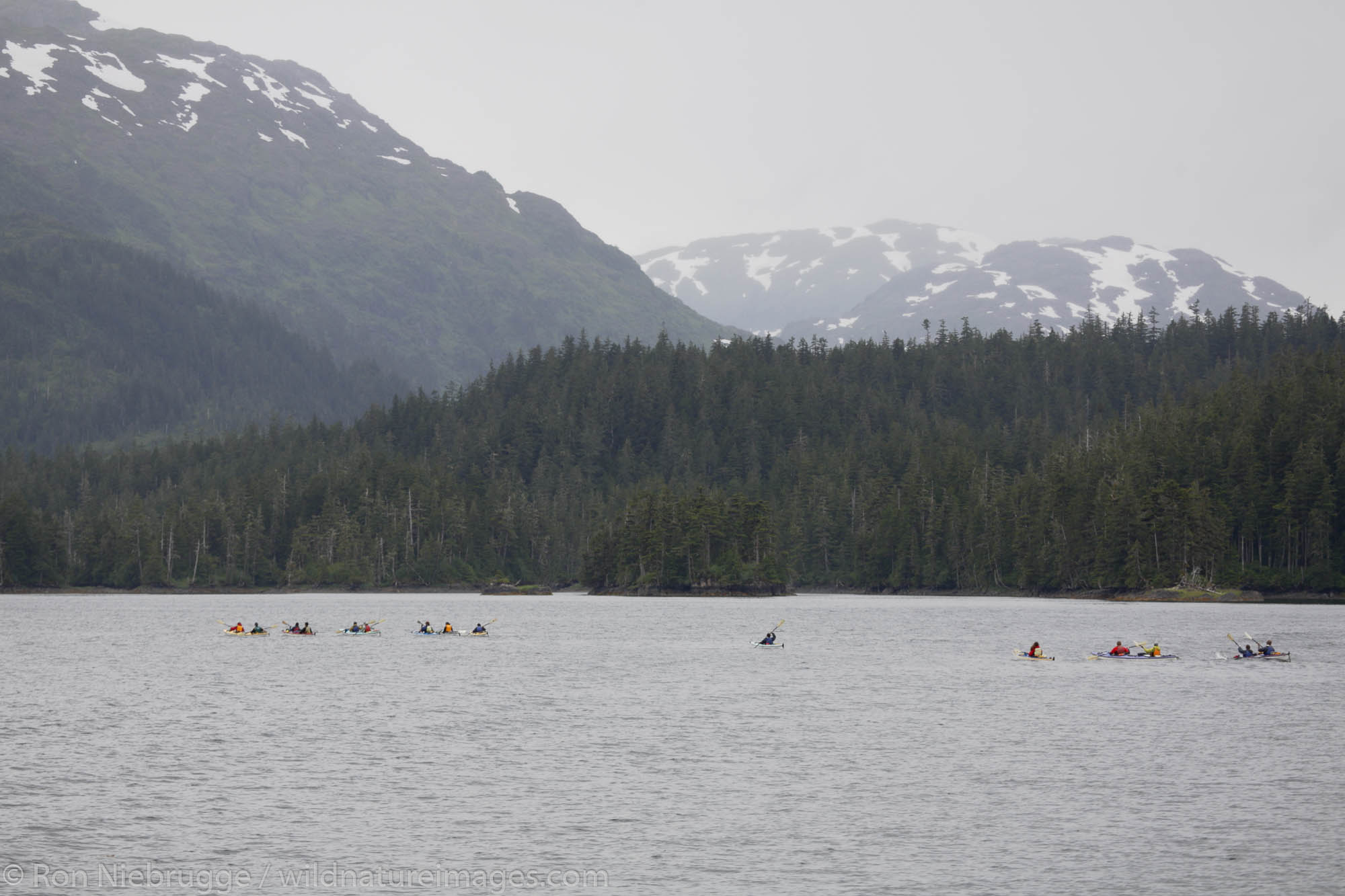 Group of Kayakers in Culross Passage, Prince William Sound, Chugach National Forest, Alaska.