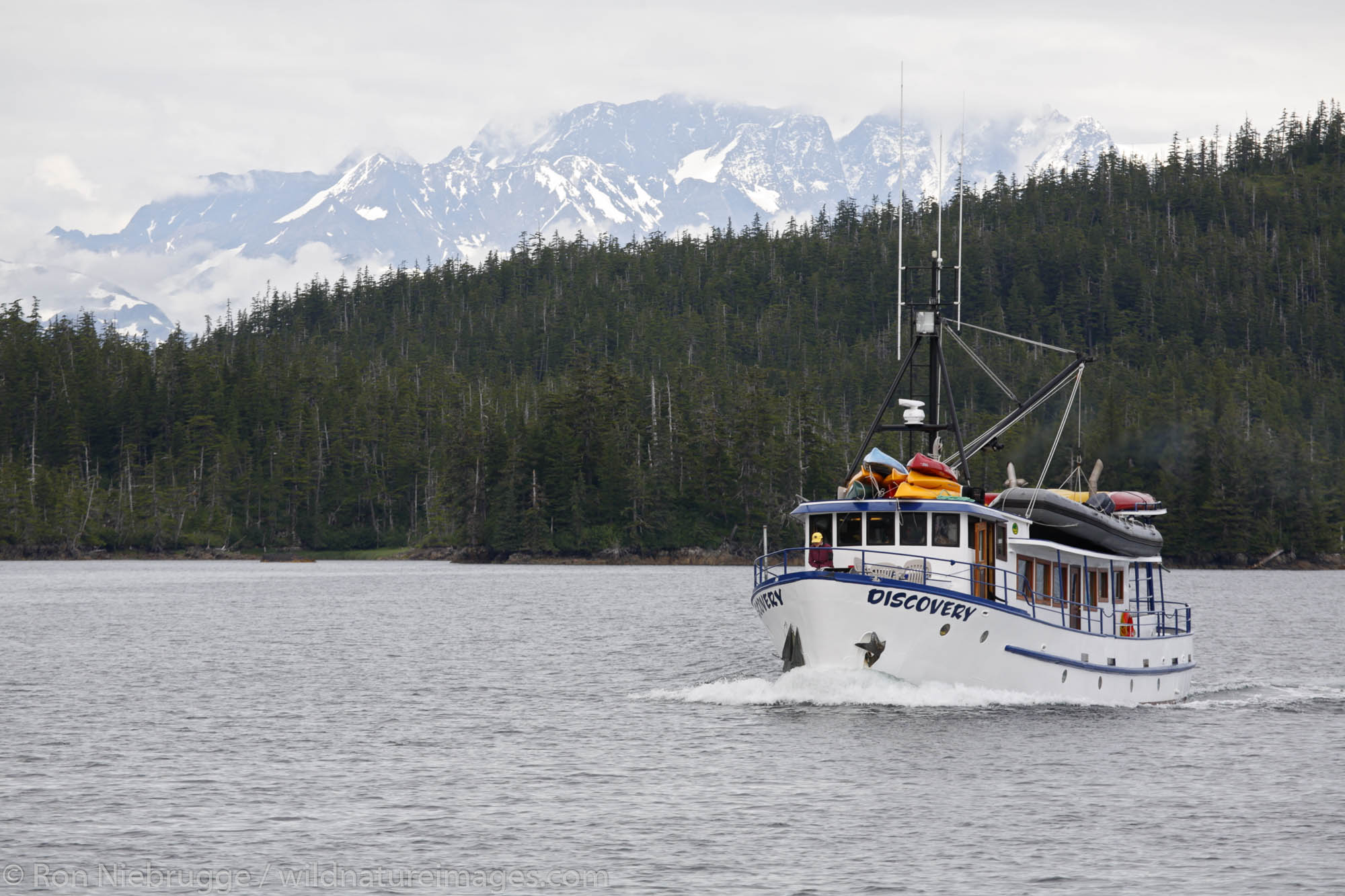 Discovery charter boat in Culross Passage, Prince William Sound, Chugach National Forest, Alaska.