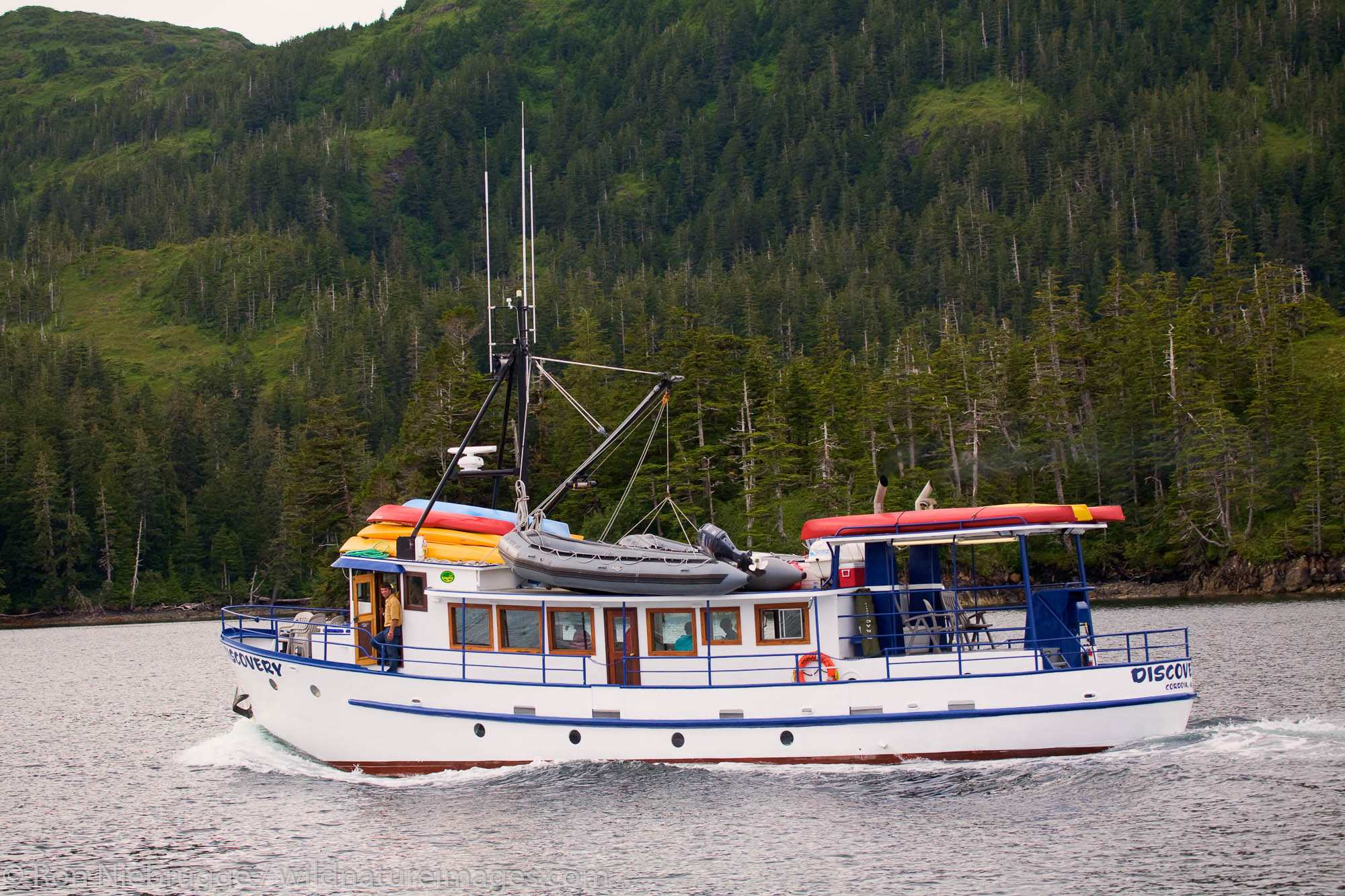 Discovery charter boat in Culross Passage, Prince William Sound, Chugach National Forest, Alaska.