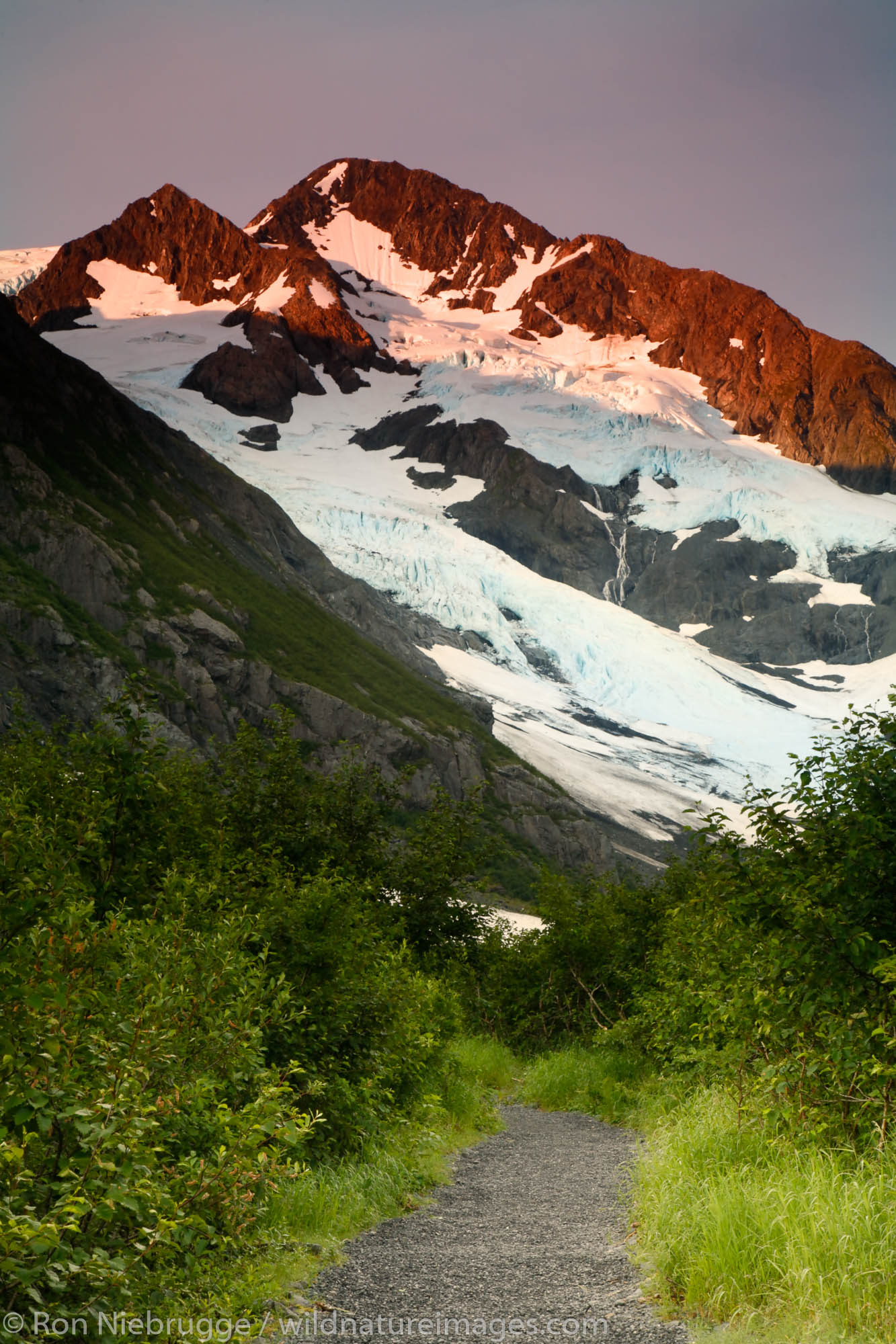 Byron Glacier Trail, Portage Valley, Chugach National Forest, Alaska.