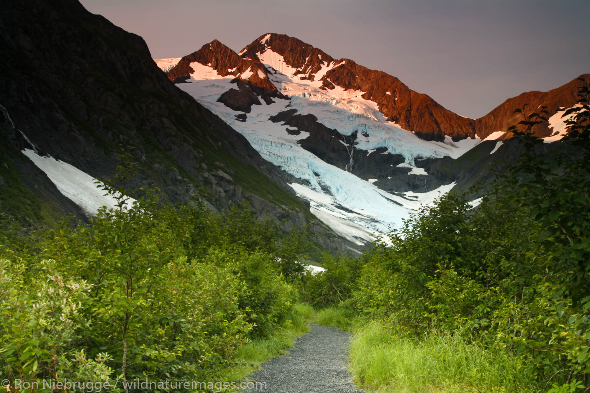 Byron Glacier Trail, Portage Valley, Chugach National Forest, Alaska.