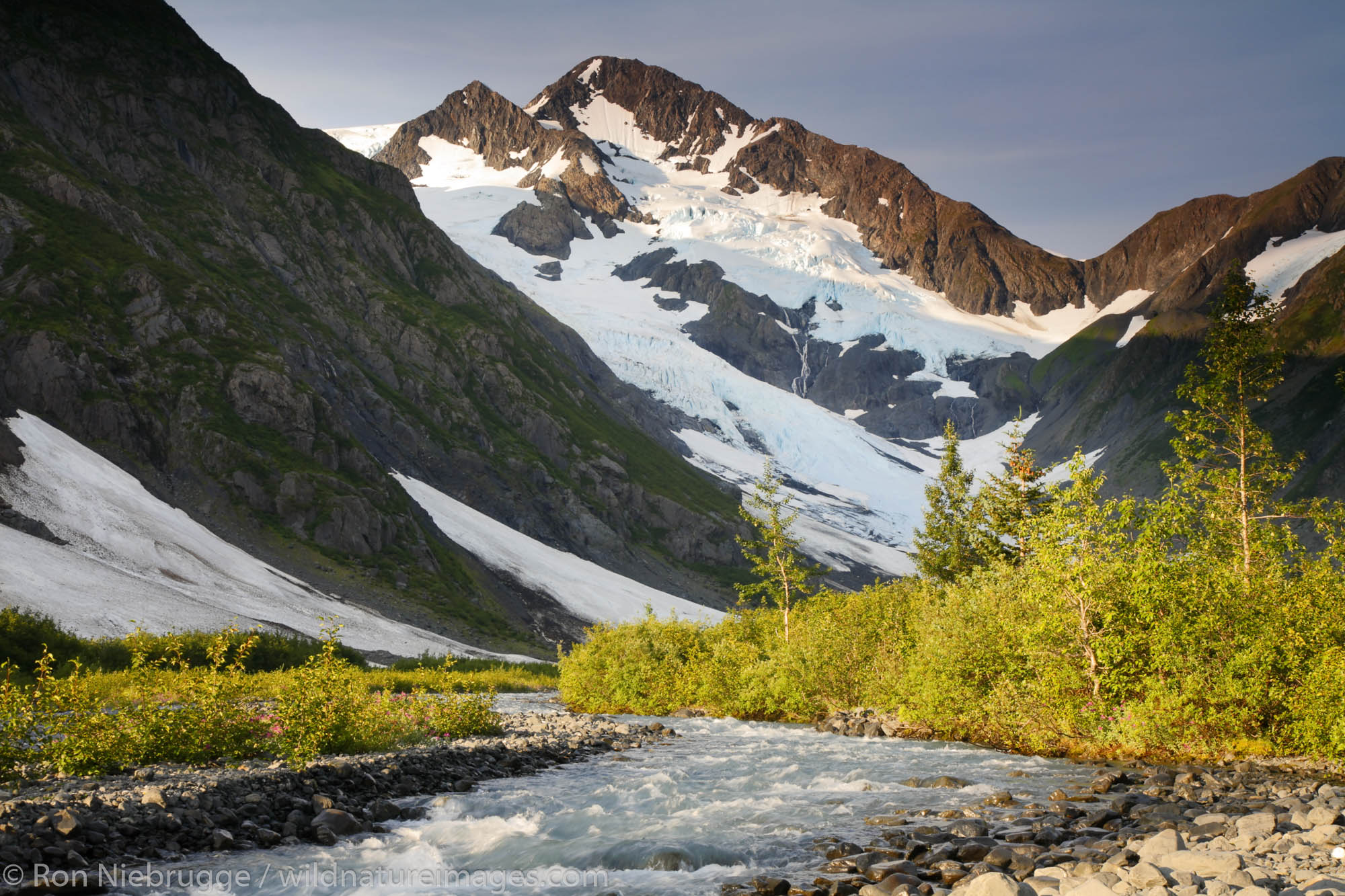 Creek flowing from Byron Glacier, Portage Valley, Chugach National Forest, Alaska.