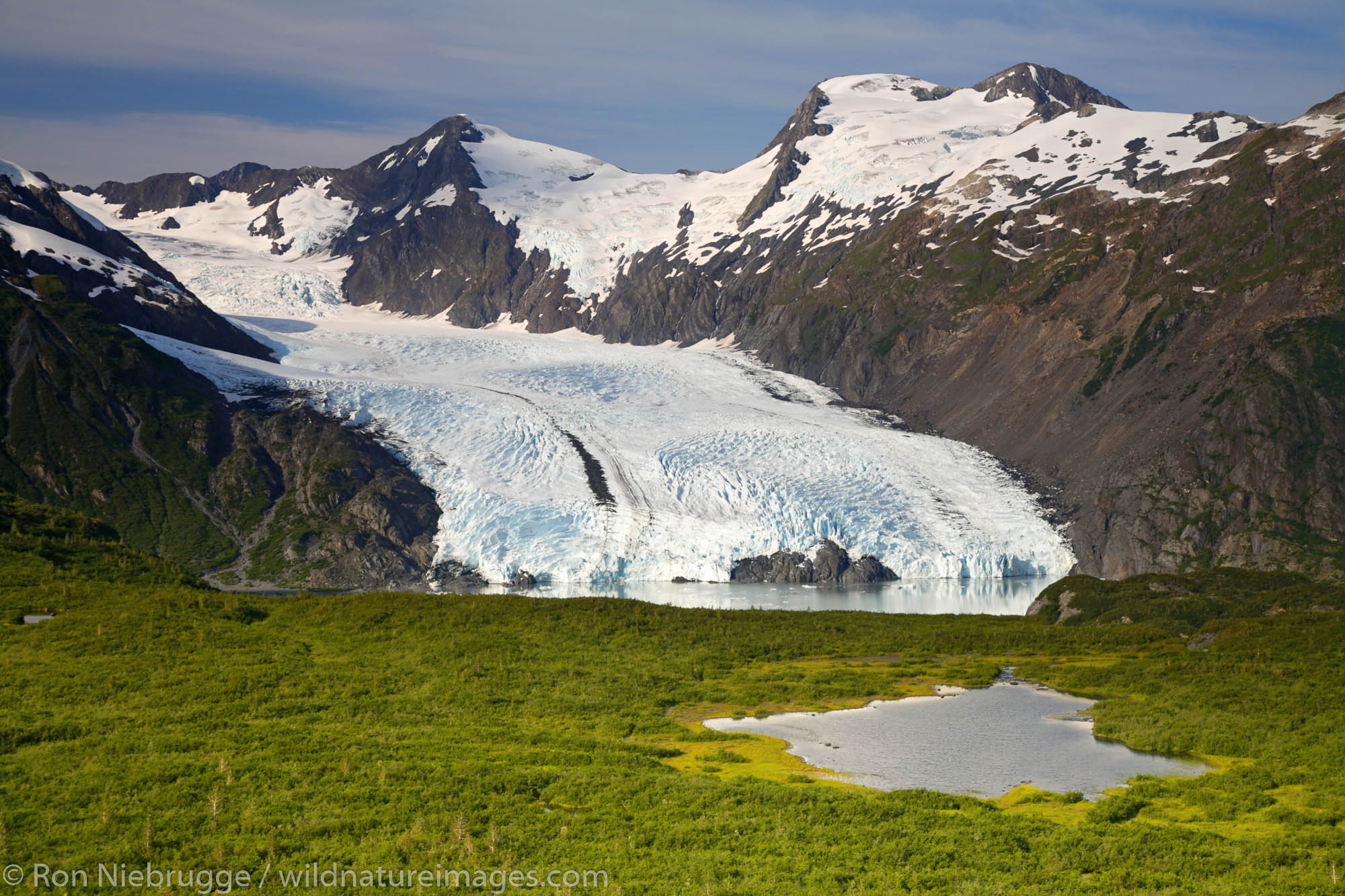 Portage Glacier from Portage Pass, Chugach National Forest, Alaska.