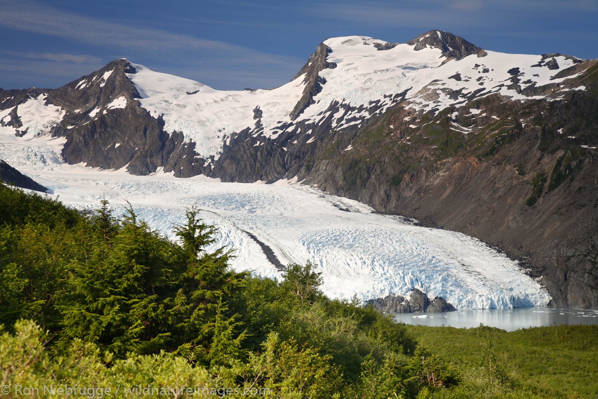 Portage Glacier from Portage Pass Chugach National Forest Alaska.