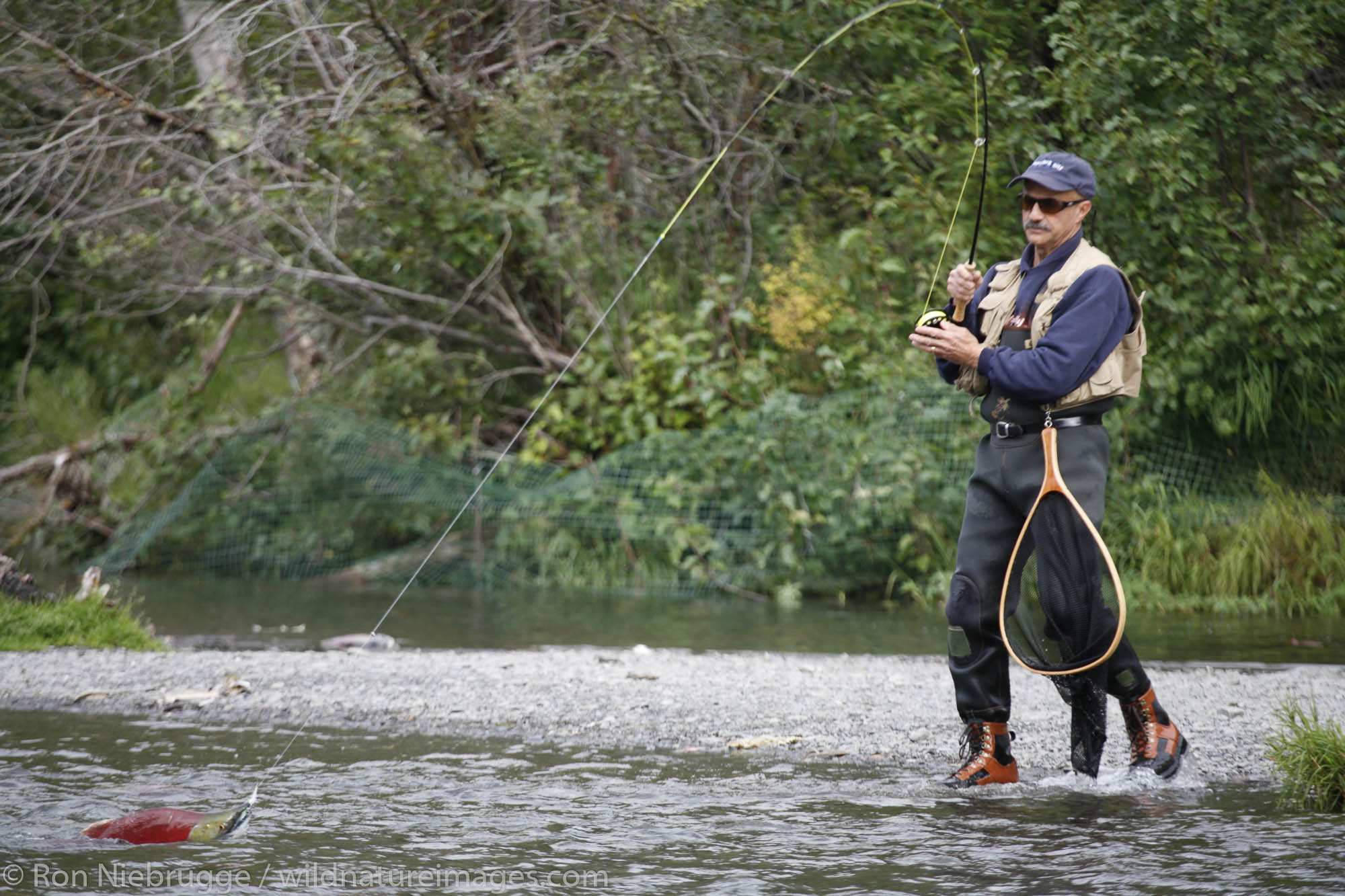 Fishing on the Russian River, Kenai Peninsula, Chugach National Forest, Alaska. (MR)