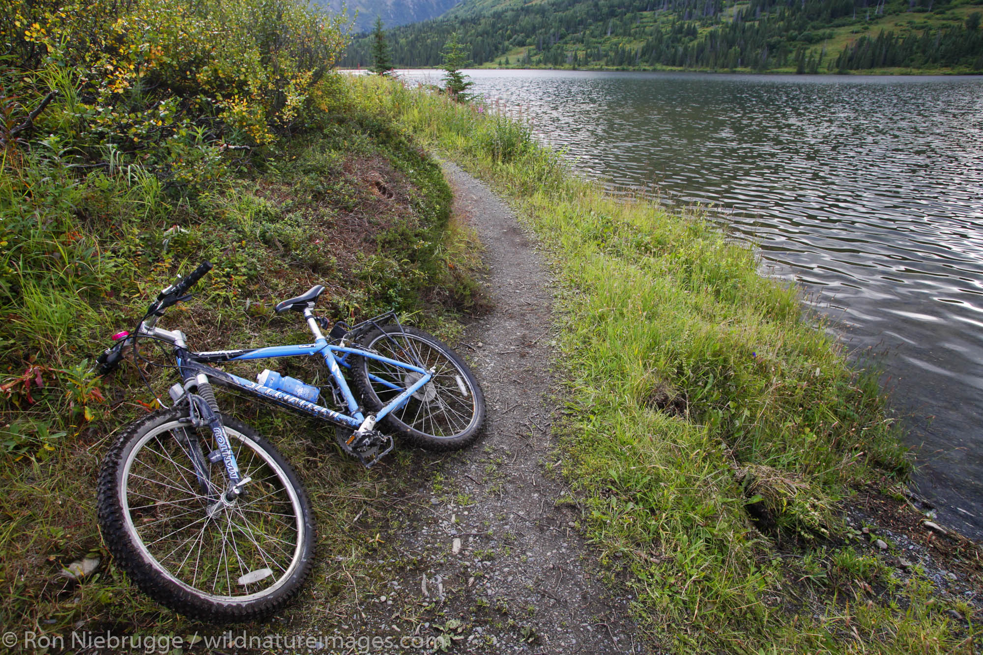 Mountain Bikers stop at Juneau Lake, Resurrection Pass Trail, Kenai Peninsula, Chugach National Forest, Alaska.