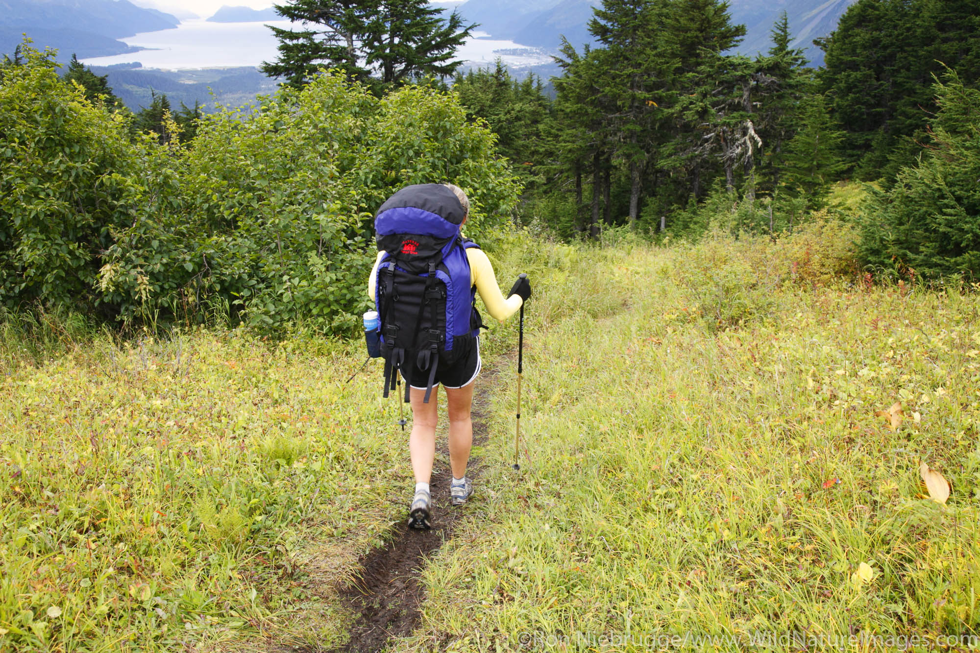 Backpacking on the Lost Lake Trail, Kenai Peninsula, Chugach National Forest, Alaska. (MR)