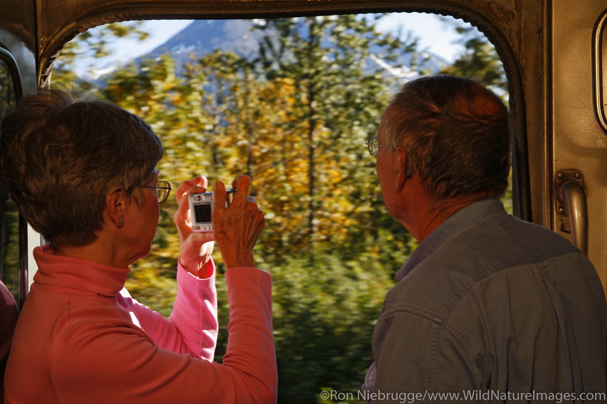 Riding the Alaska Railroad Glacier Discovery Train, Chugach National Forest, Alaska. (MR)