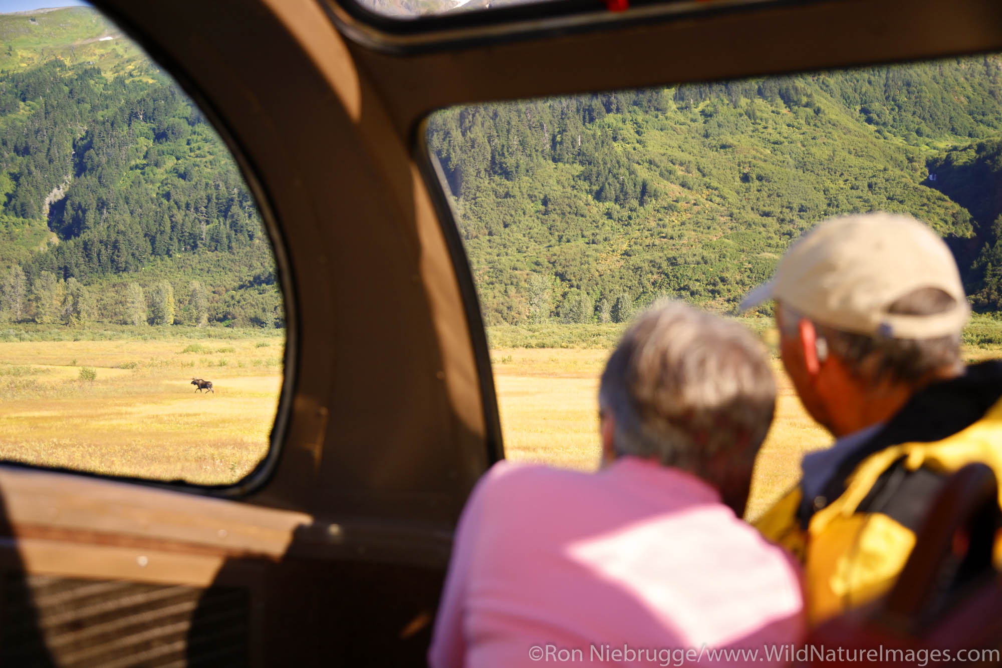 Riding the Alaska Railroad Glacier Discovery Train, Chugach National Forest, Alaska.