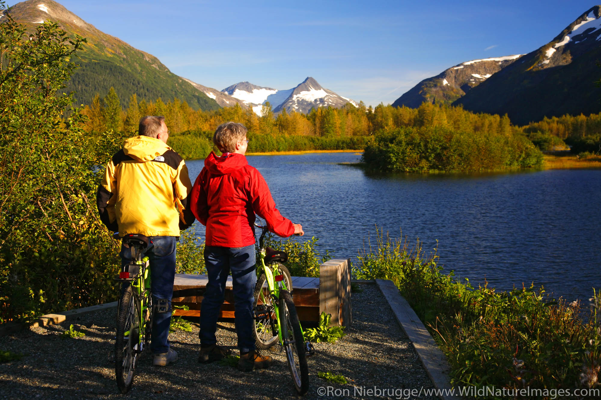 Biking in the Portage Valley Moose Flats area, Chugach National Forest, Alaska. (MR)